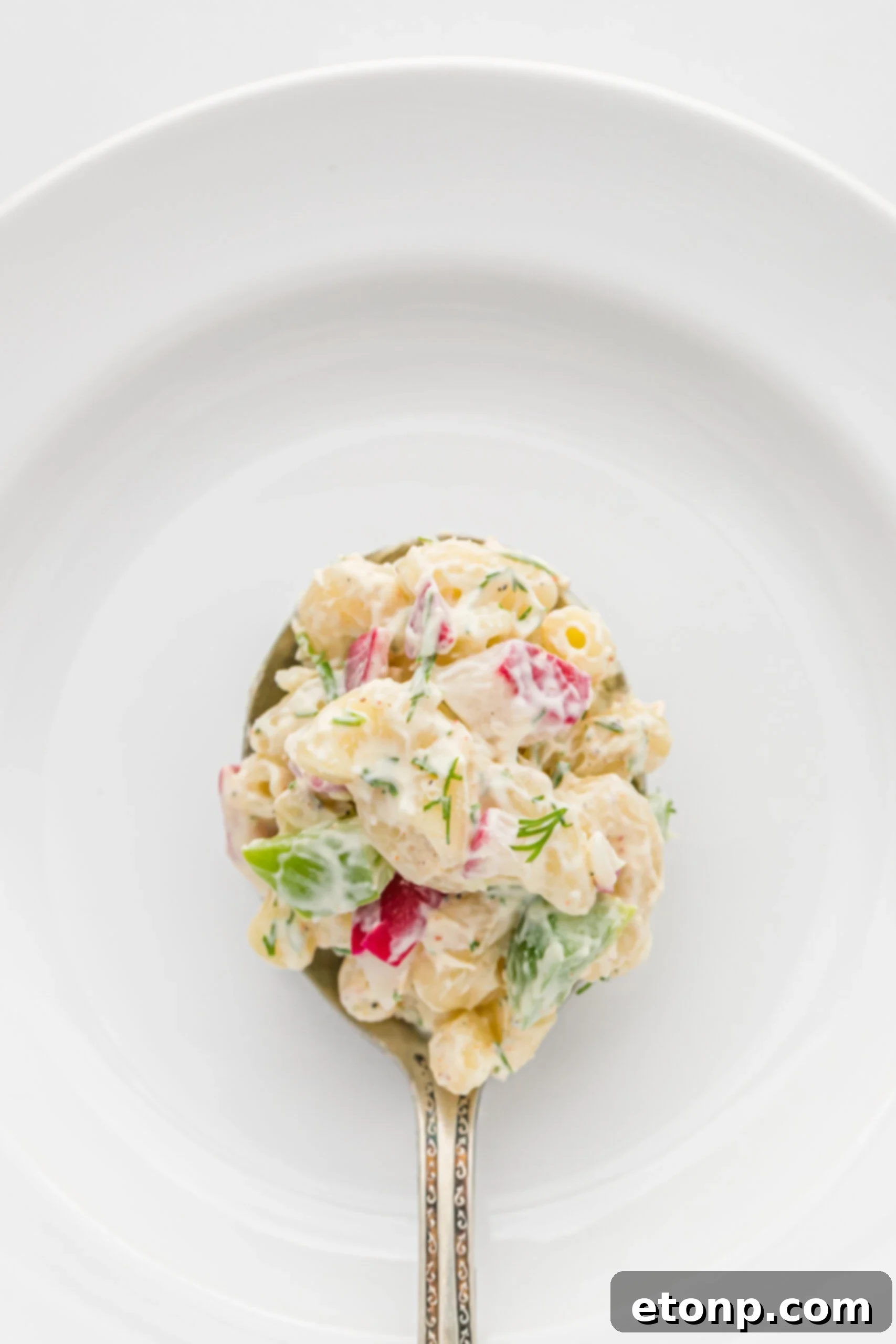Creamy Dill Macaroni Salad 12 Overhead view of a delicious bite of Macaroni Dill Pasta Salad on a silver spoon.