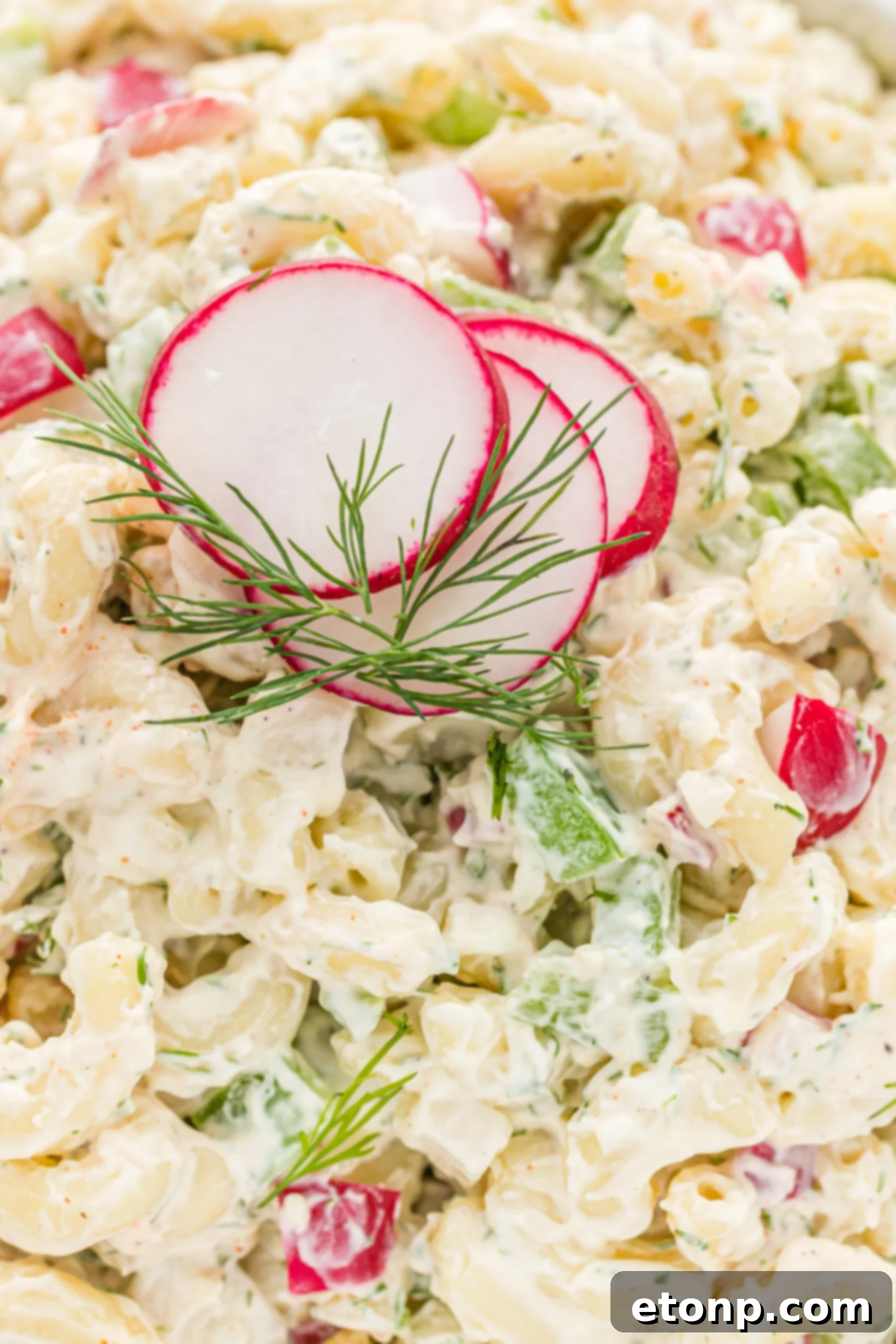 Creamy Dill Macaroni Salad 6 Close up shot of Macaroni Dill Pasta Salad, showcasing its fresh ingredients and enticing appearance.