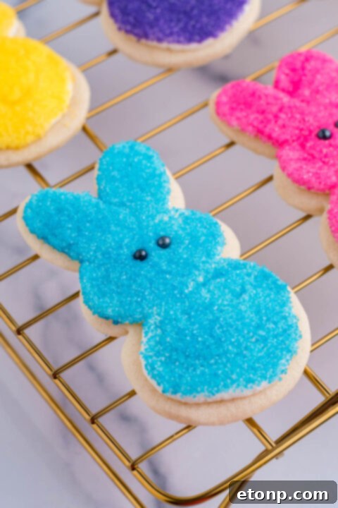 A blue bunny cookie with the black eyes being added. 