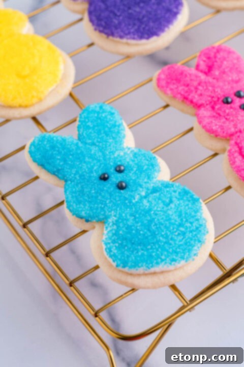 A blue bunny cookie with the black nose being added. 
