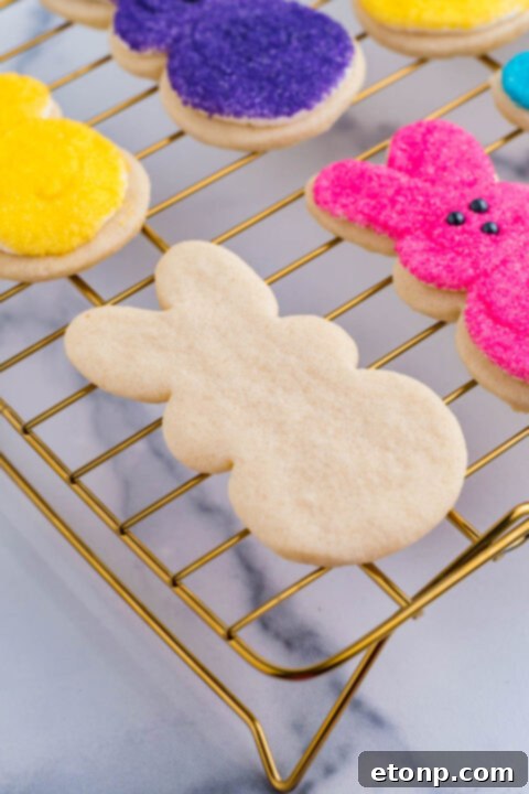 A plain Easter bunny cookie before it is decorated. 