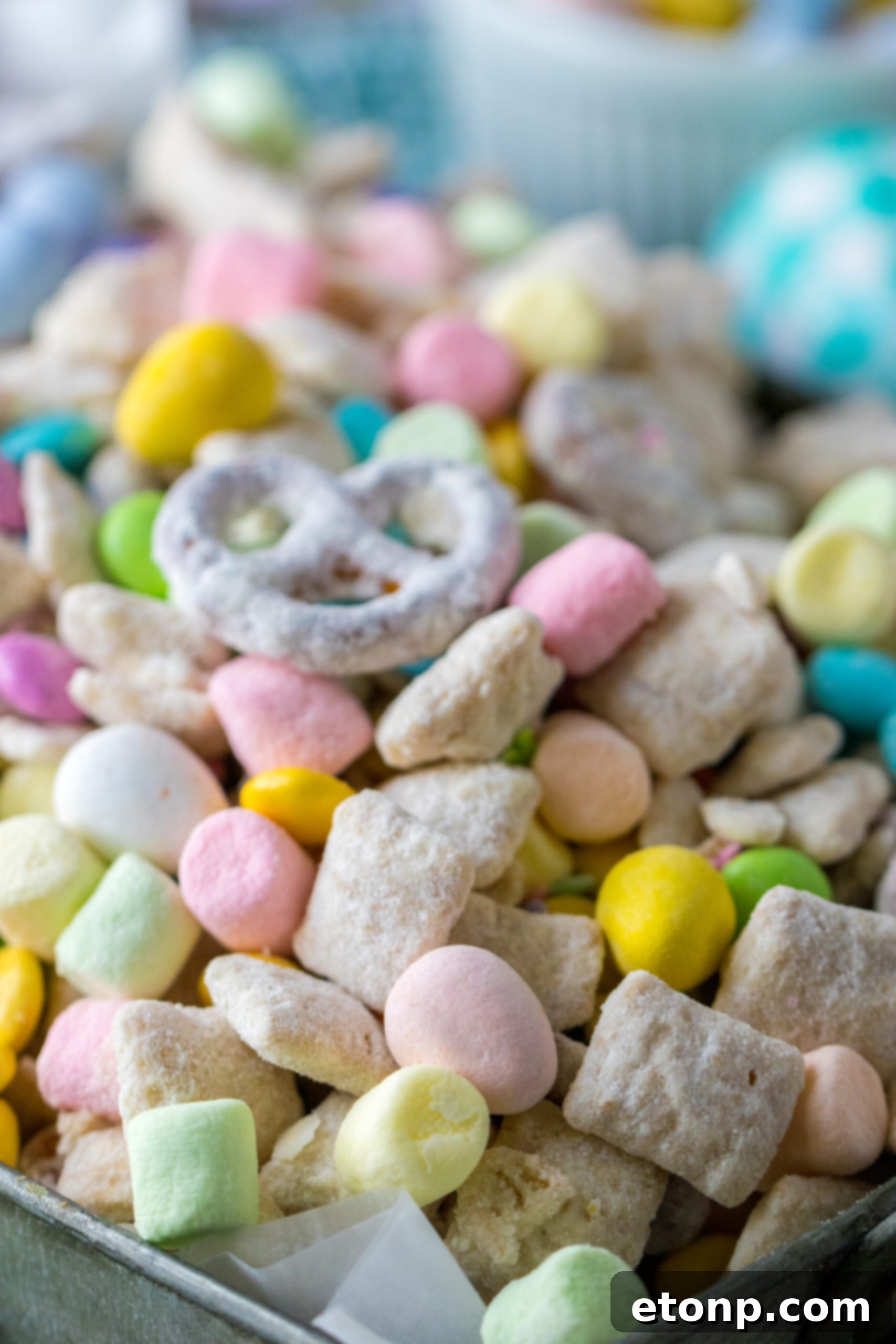 Up close shot of Bunny Munch. 