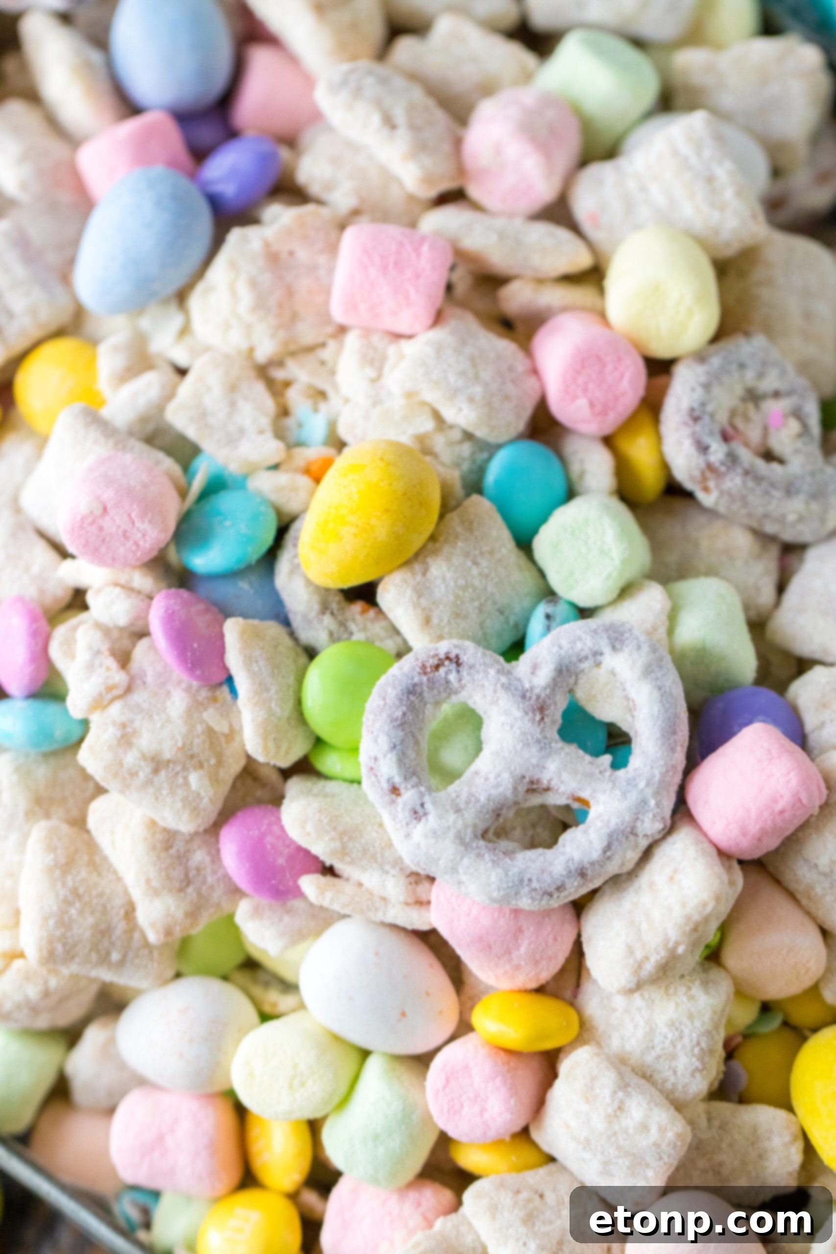 Up close shot of Bunny Munch. 