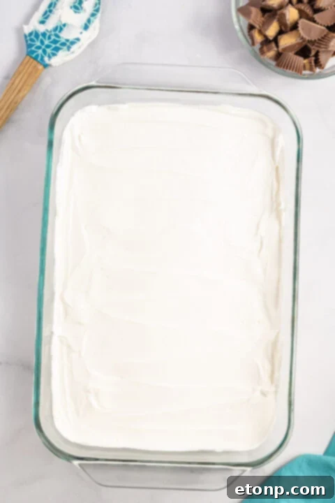 Chocolate pudding layer