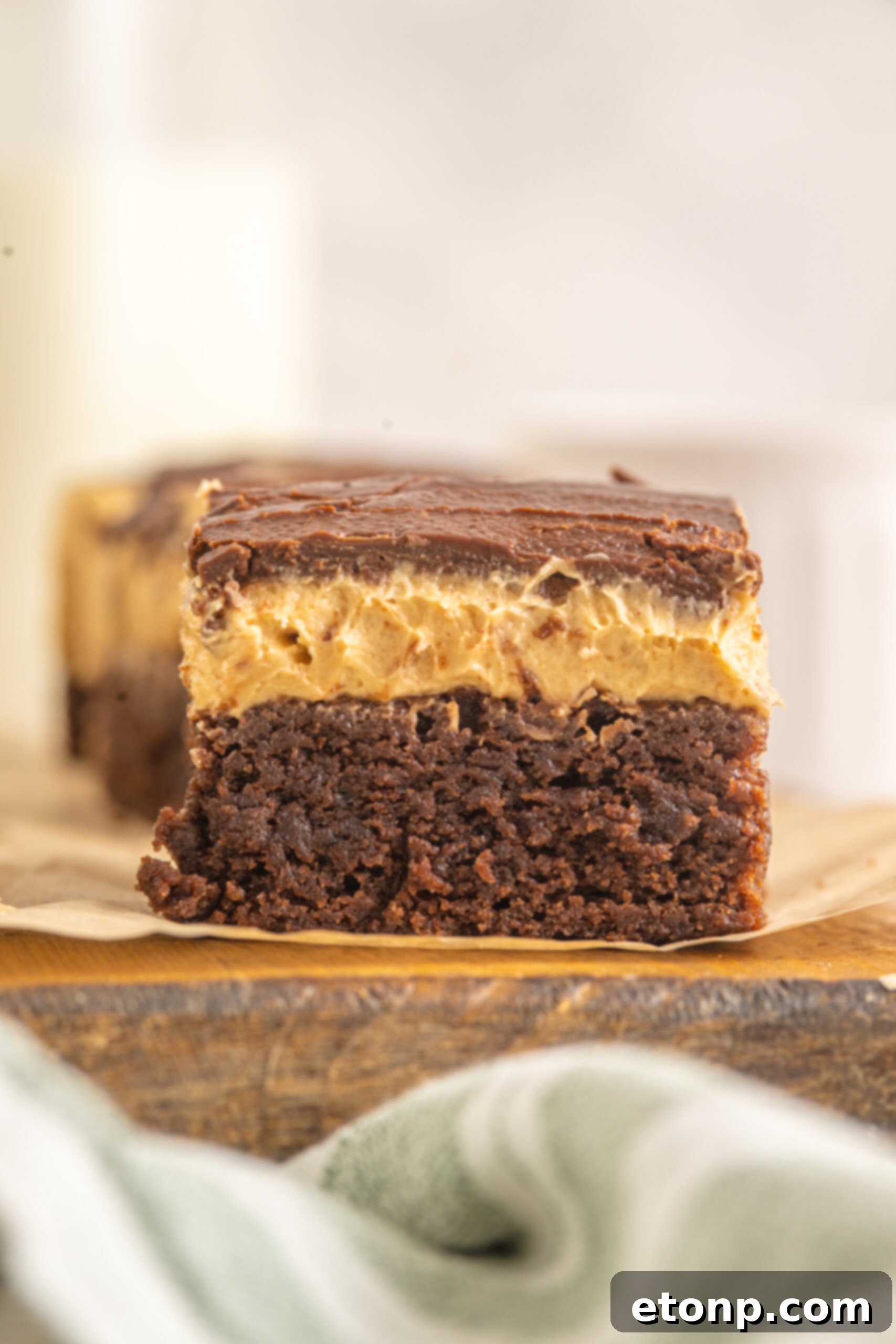 Side view of the Buckeye Brownie layers. 