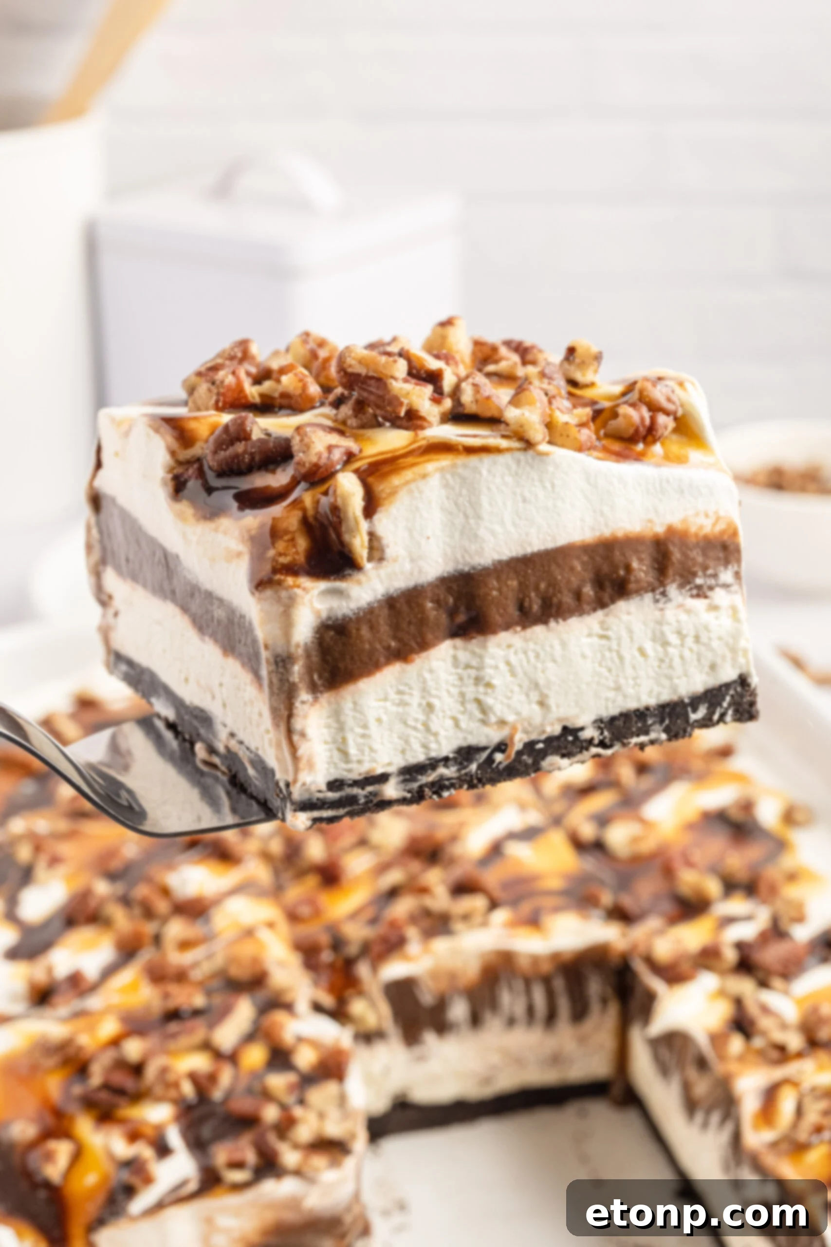 Front view of a slice of Turtle Lush on a silver cake server.