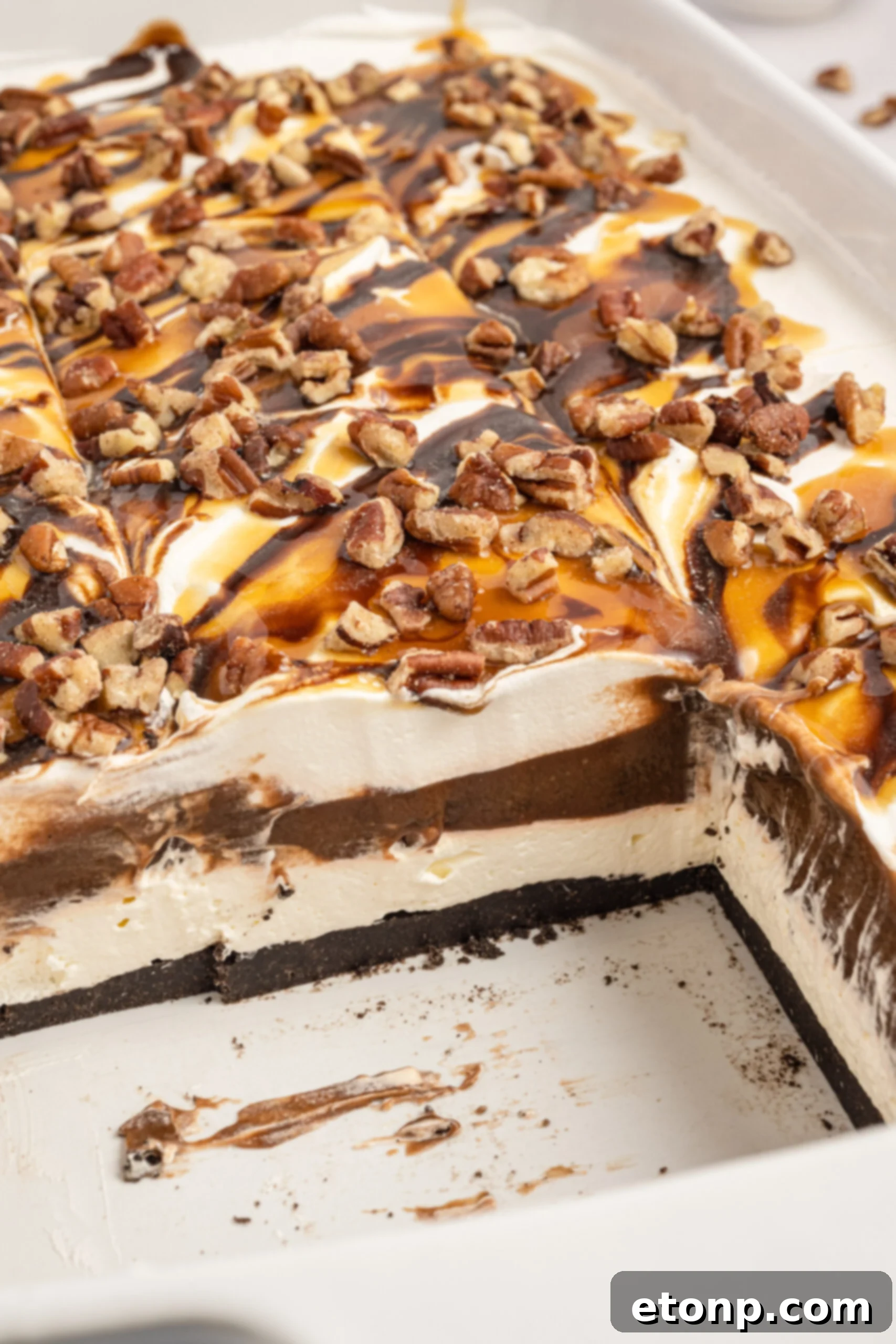Close up view of Turtle Lush in a white baking dish with two slices removed.