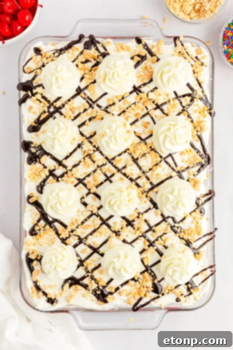 No-Bake Banana Split Bliss 14 Individual ingredient: maraschino cherries.