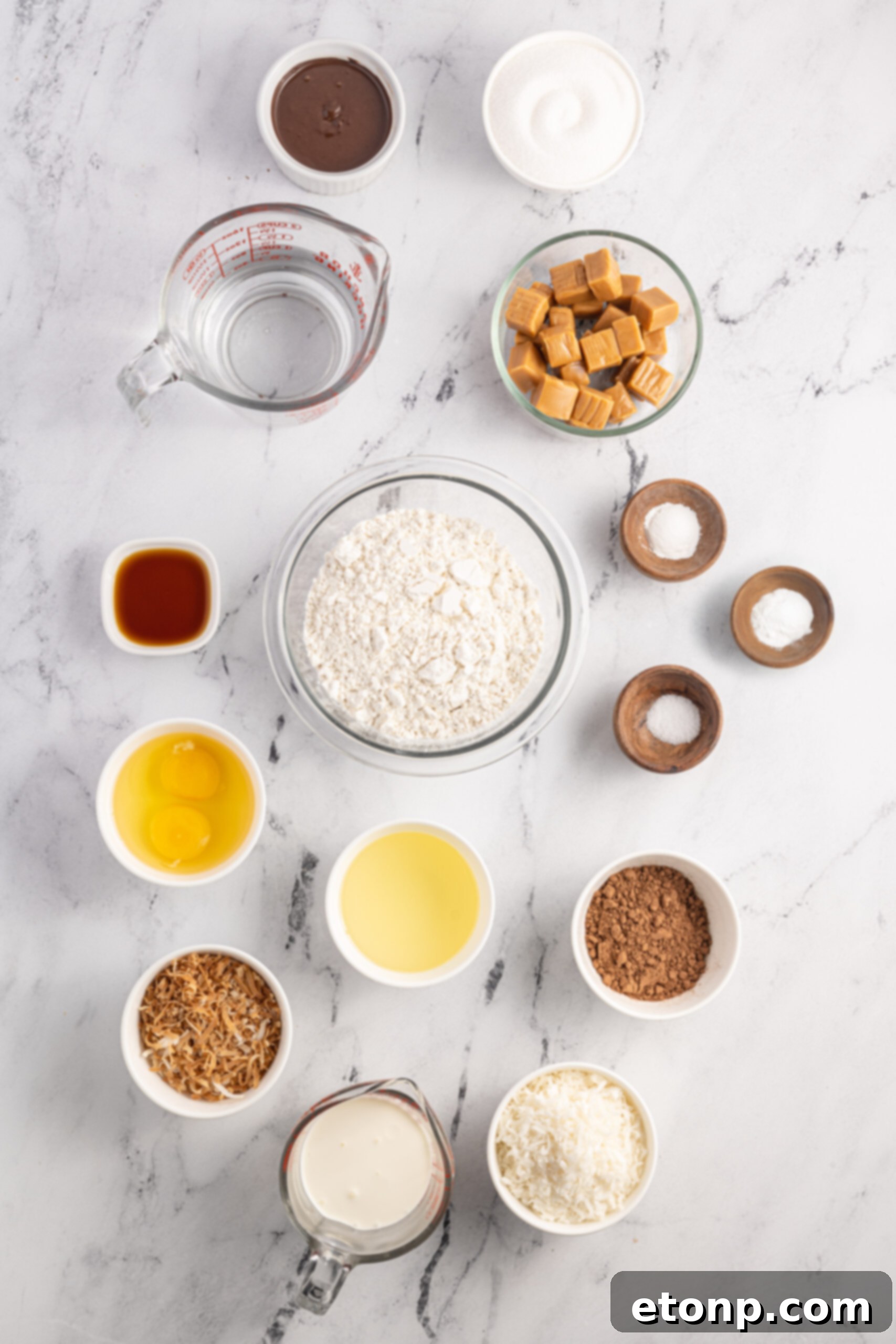 An overhead shot displaying all the carefully measured ingredients neatly laid out for making a Samoa Bundt Cake, including flour, cocoa powder, eggs, oil, soft caramels, and various coconut flakes.