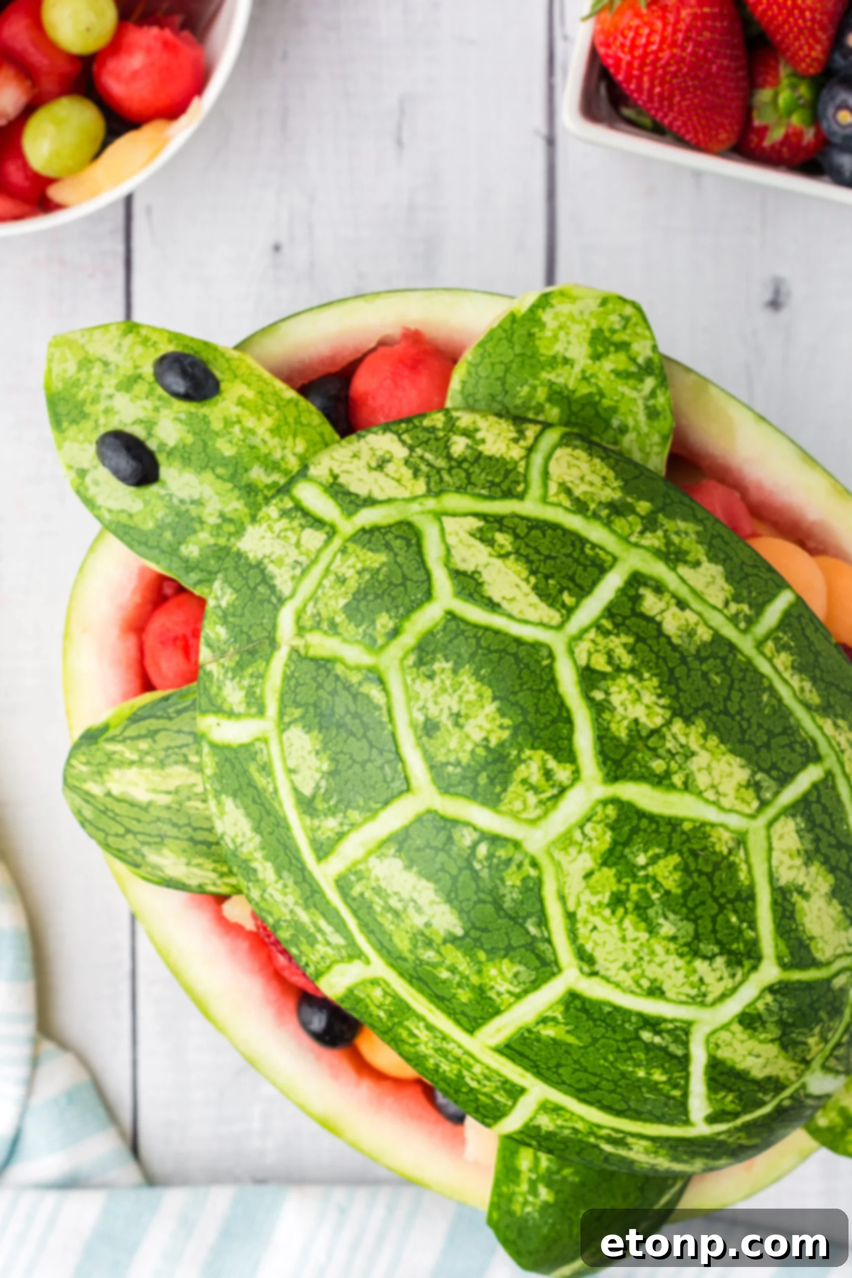 Overhead view of the charming Watermelon Turtle Fruit Salad, bursting with vibrant colors.