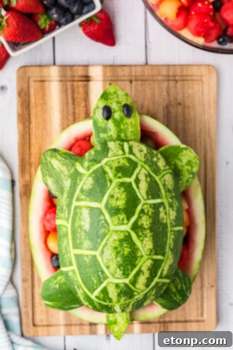 The finished watermelon turtle with fruit salad.