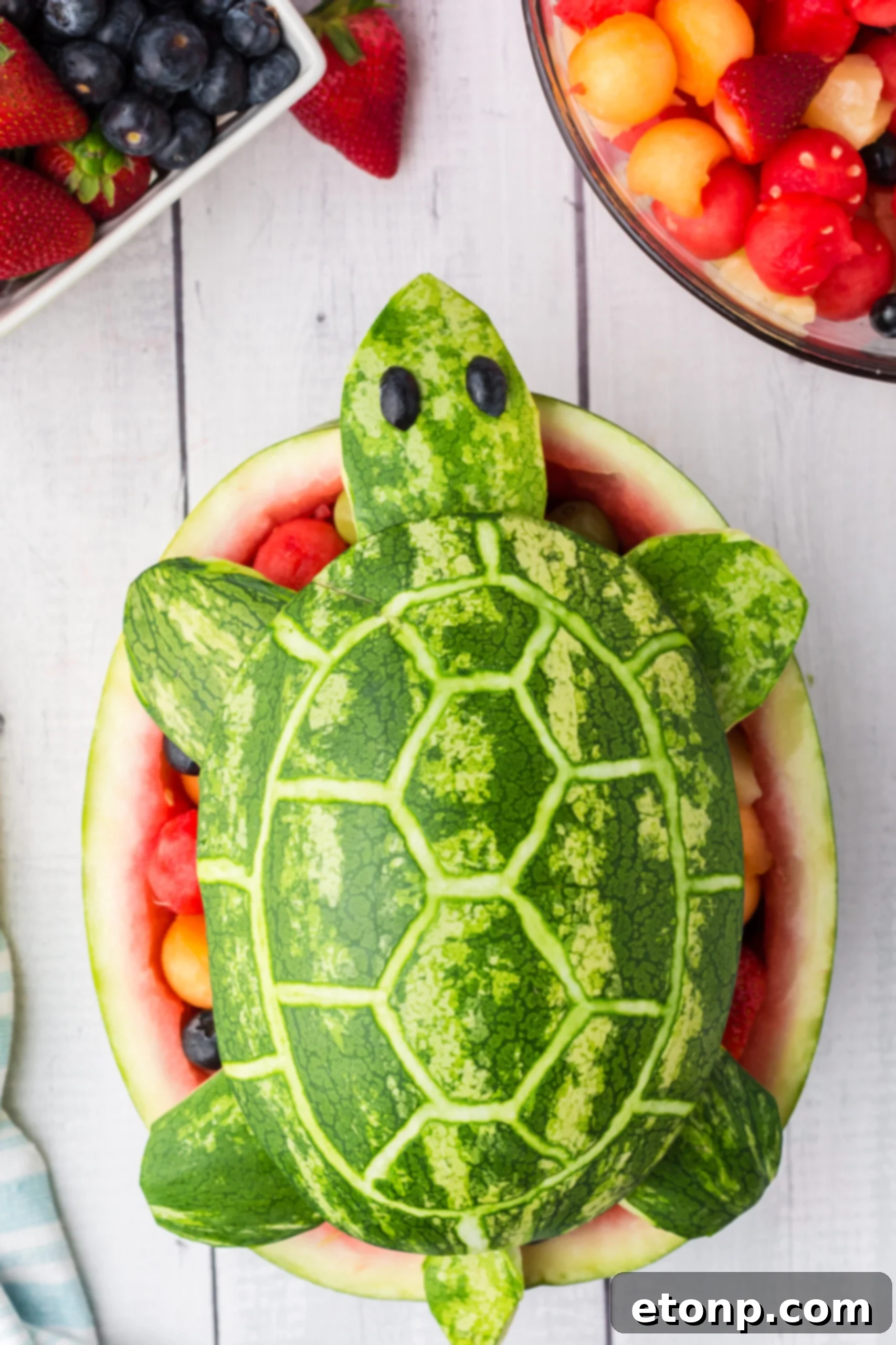 Overhead view of the freshly prepared and vibrant Turtle Watermelon Fruit Salad.
