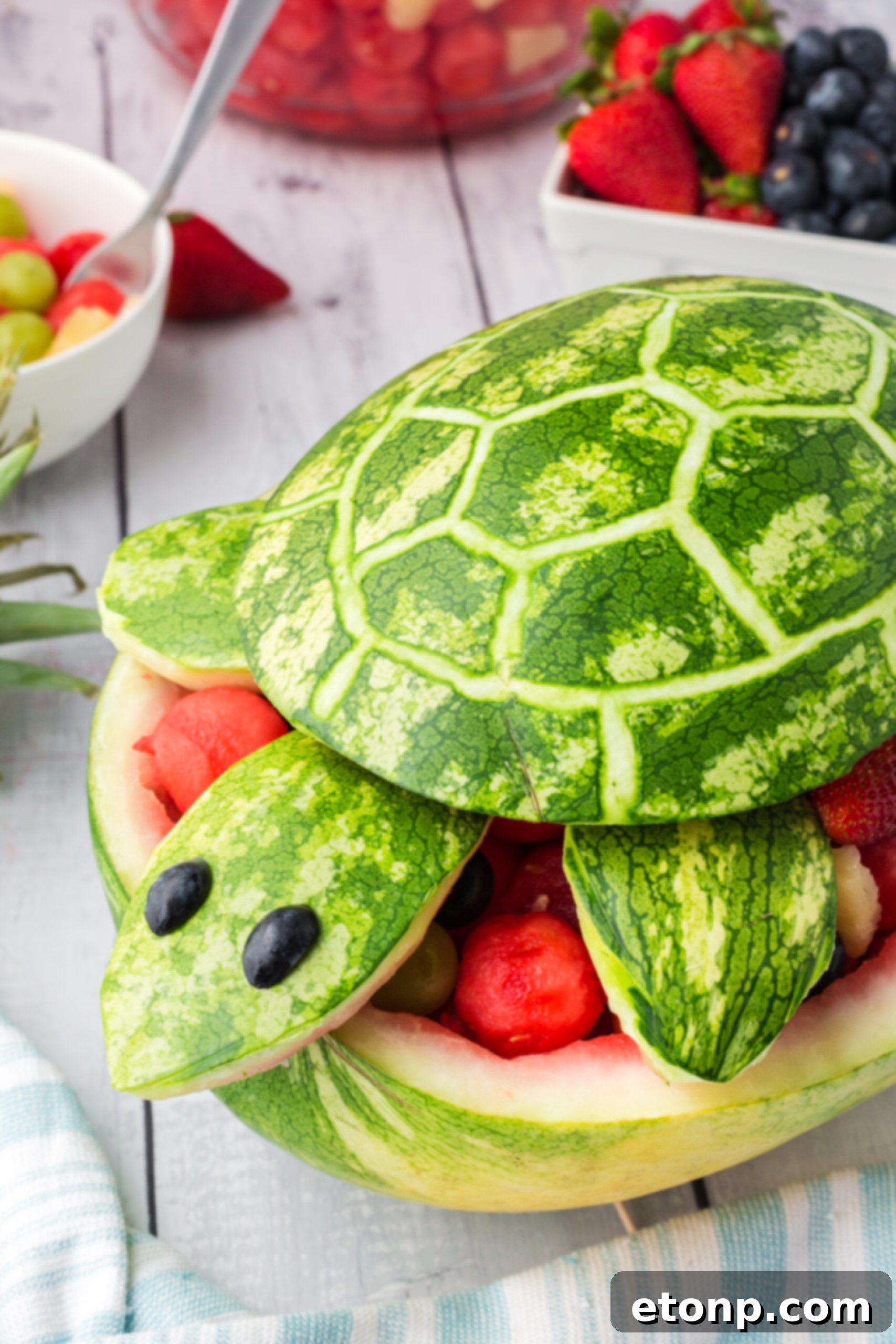 Overhead view of the Watermelon Turtle Fruit Salad, highlighting its freshness.