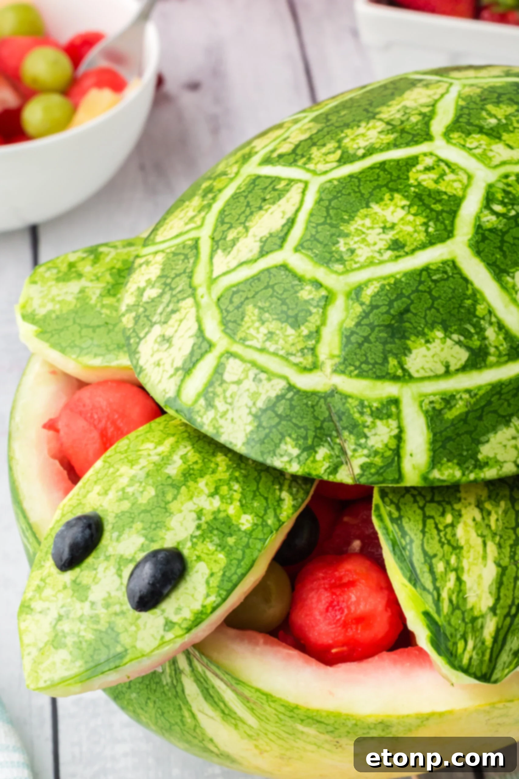 Close up view of the colorful fresh fruits in the Turtle Watermelon Fruit Salad.