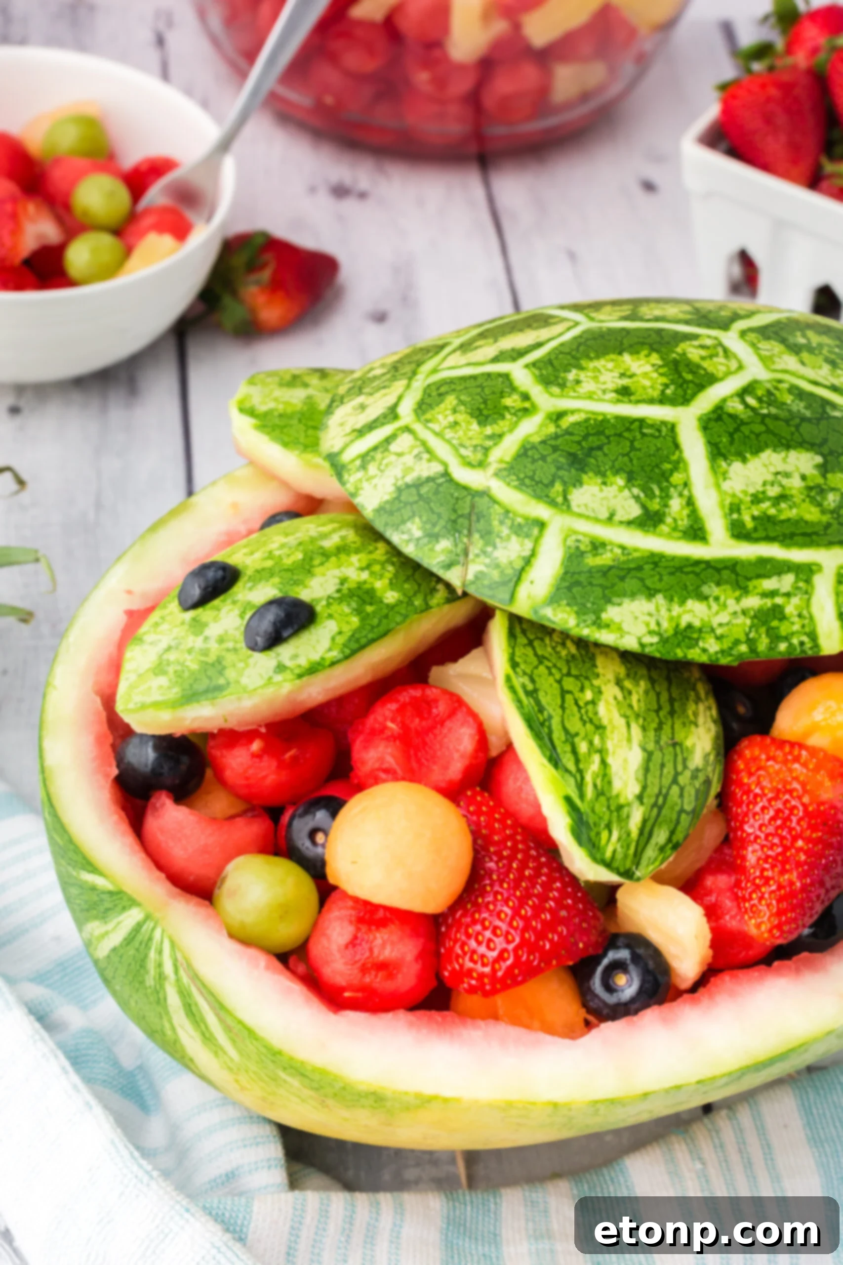 Side view of the complete Turtle Watermelon Fruit Salad, beautifully presented.
