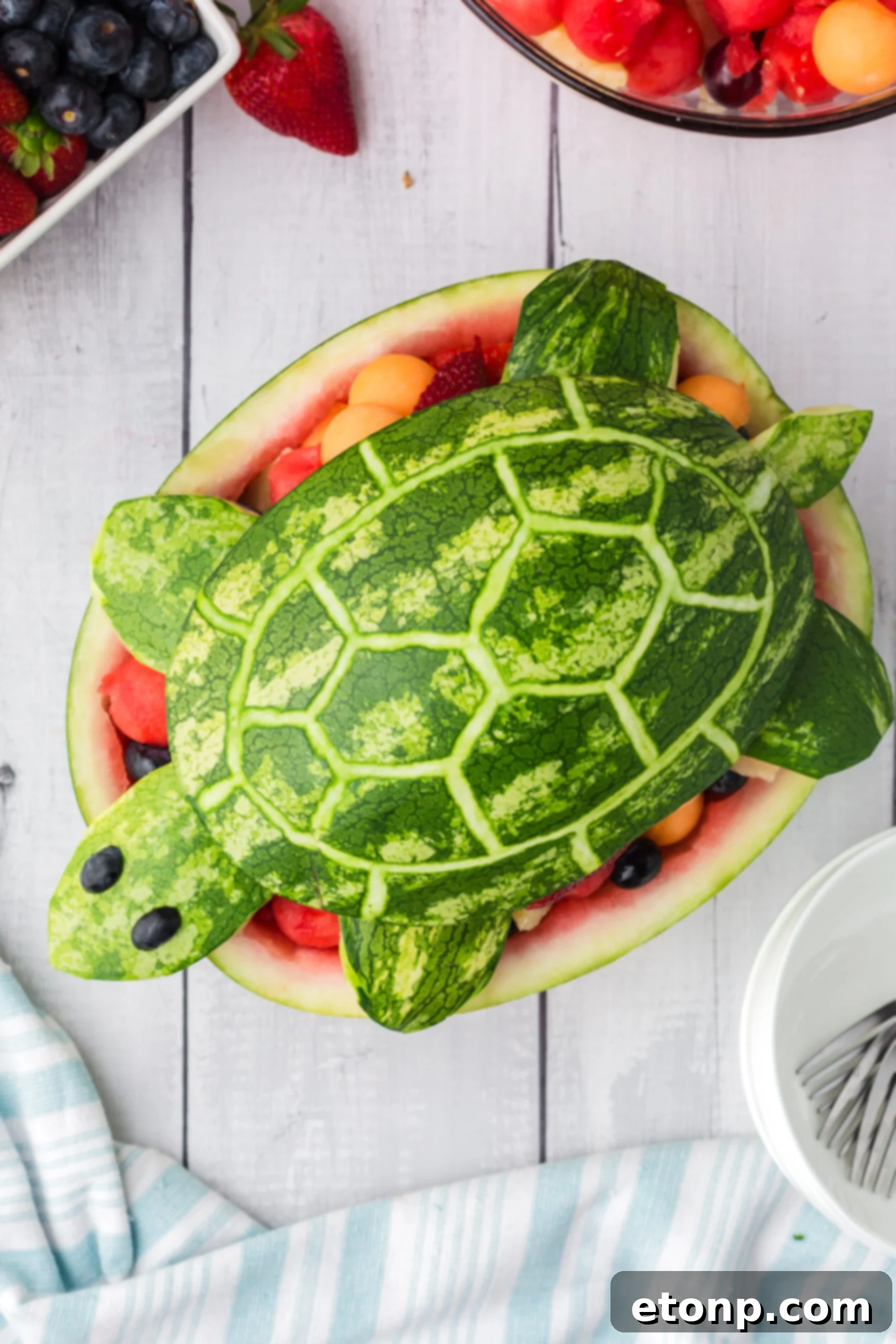 Overhead close-up view of the prepared Watermelon Turtle Fruit Salad.