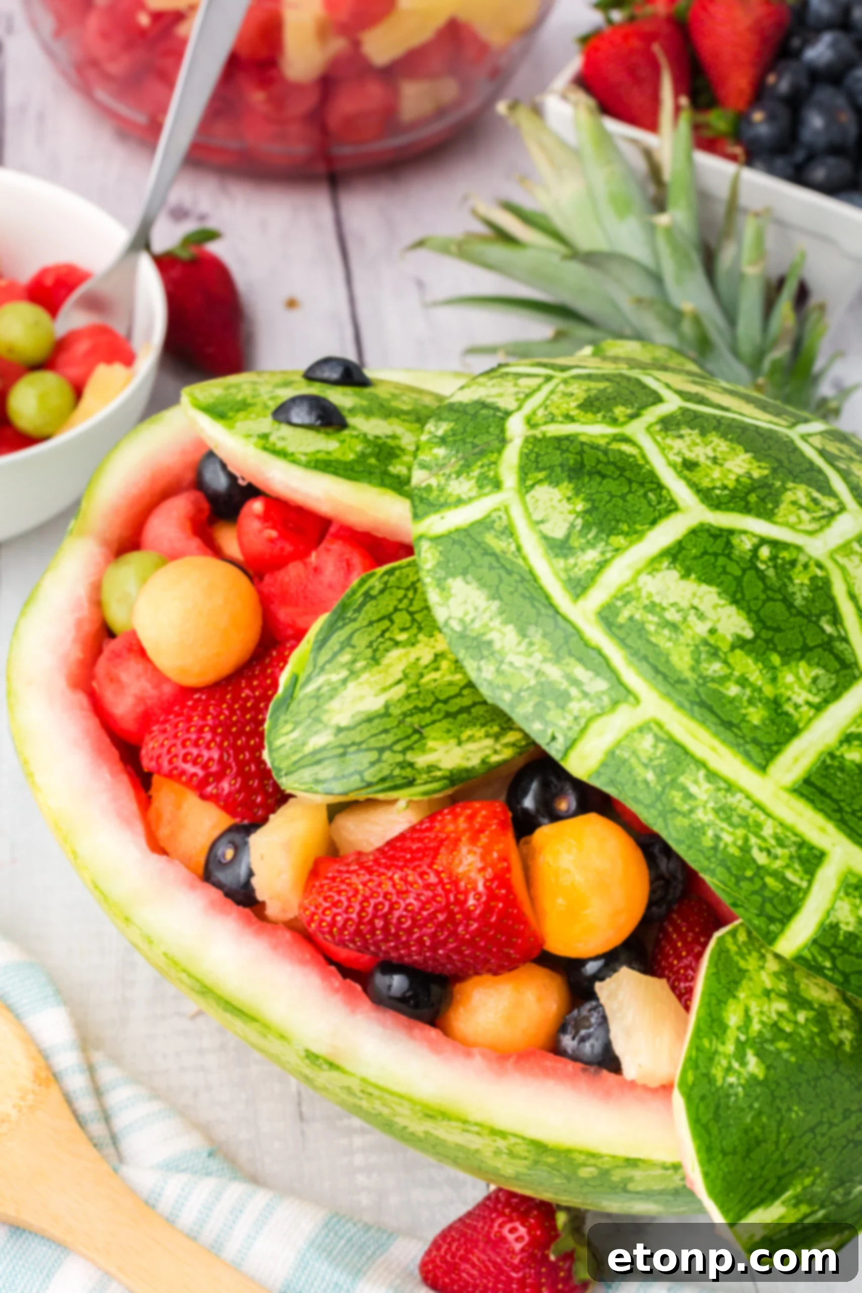 Side view of the impressive Watermelon Turtle Fruit Salad, ready to serve.