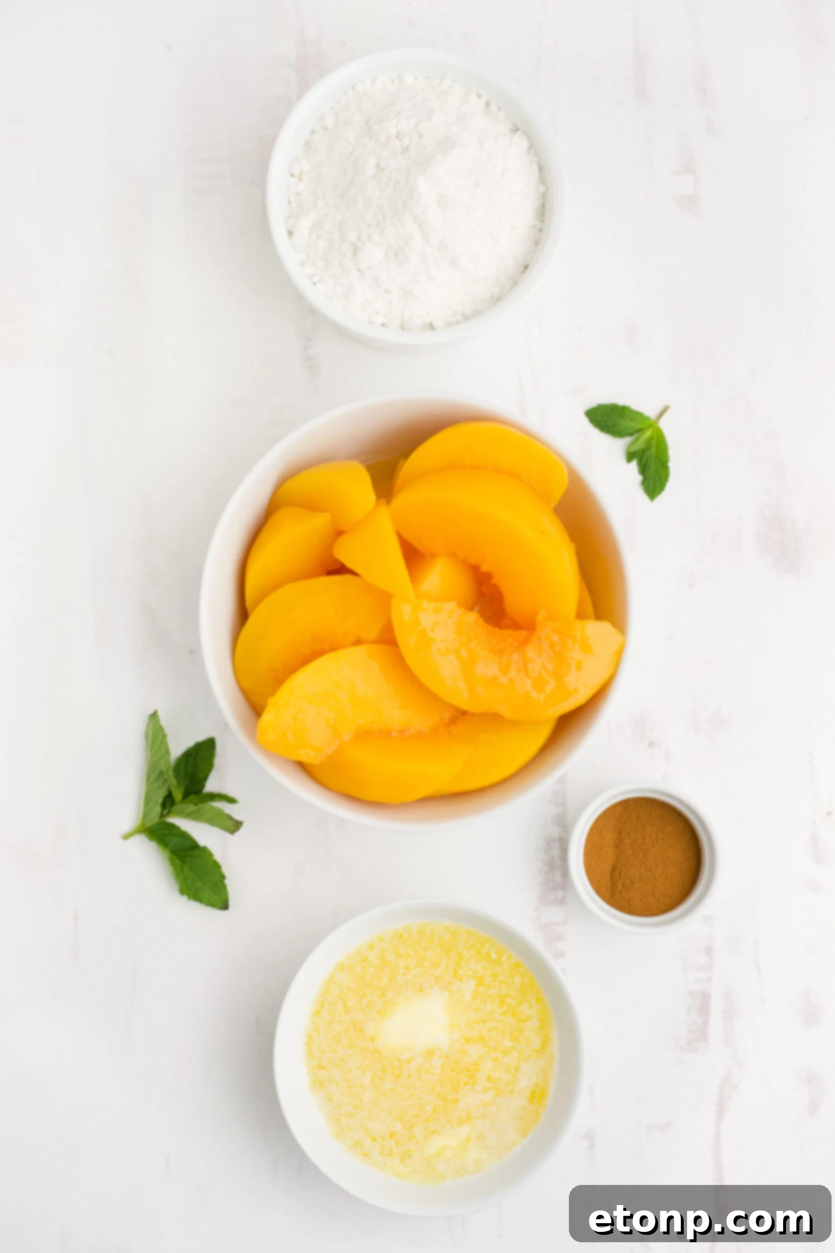 Overhead view of the ingredients needed to complete this recipe.