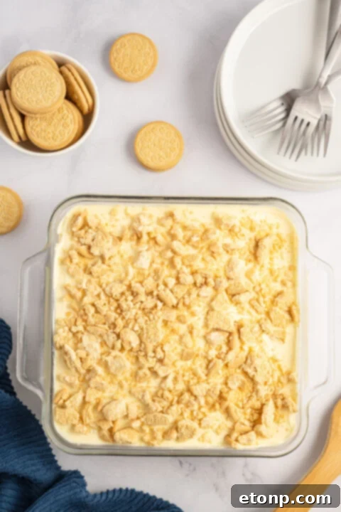 Whipped topping being gently folded into the prepared pudding mixture.