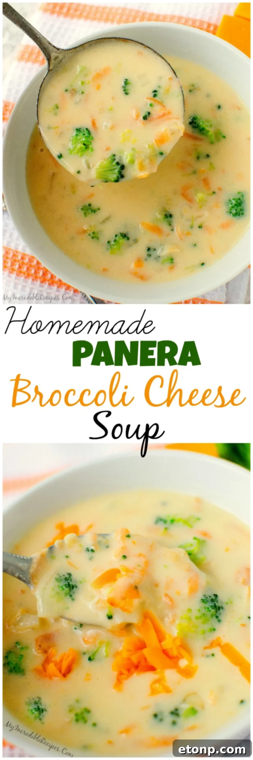 pinterestpanera