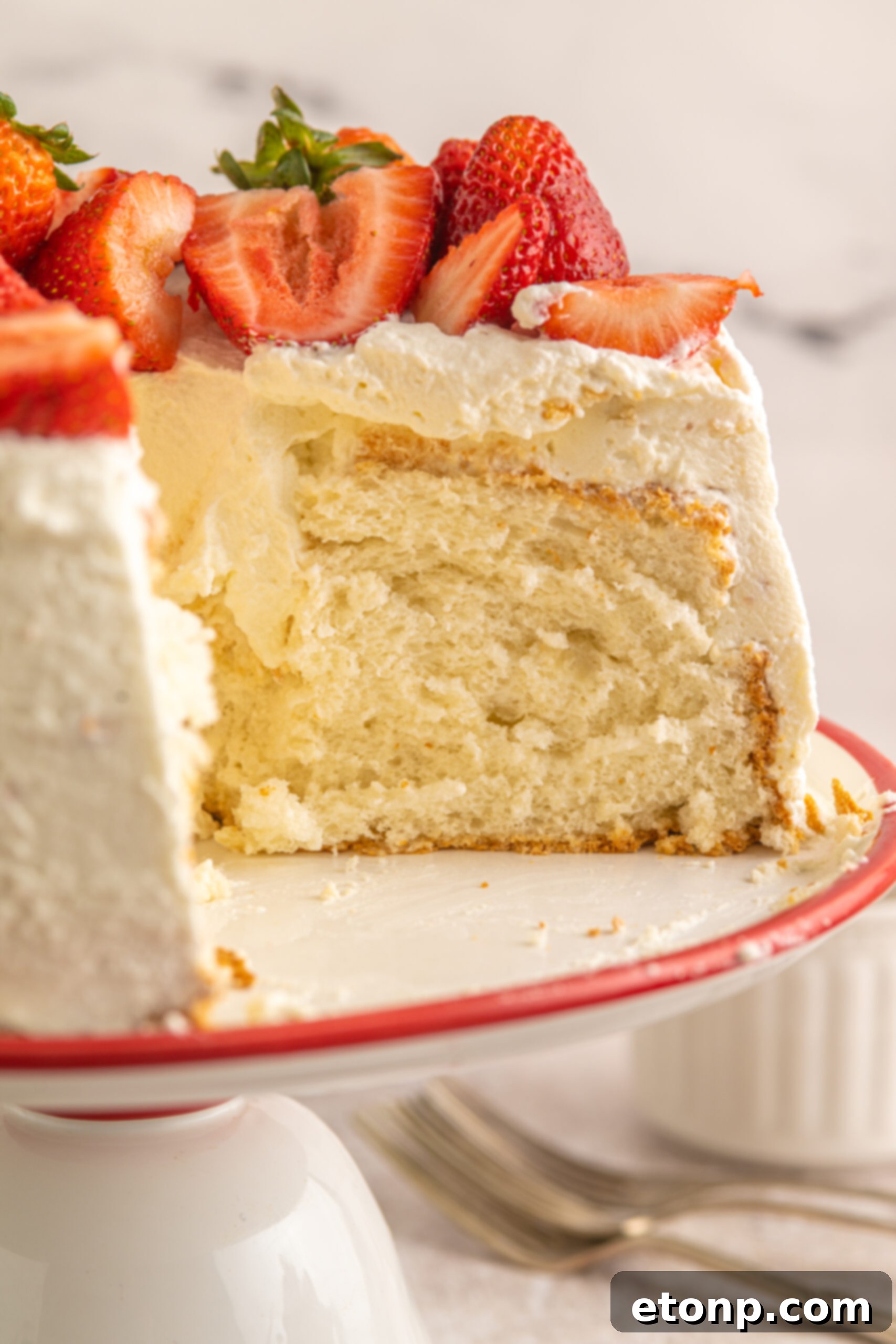 A side view of a sliced piece of Strawberry Angel Food Cake, showcasing the light, open crumb structure inside.