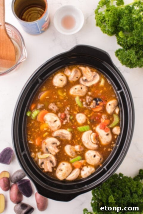 Step 6: All ingredients combined in the slow cooker.
