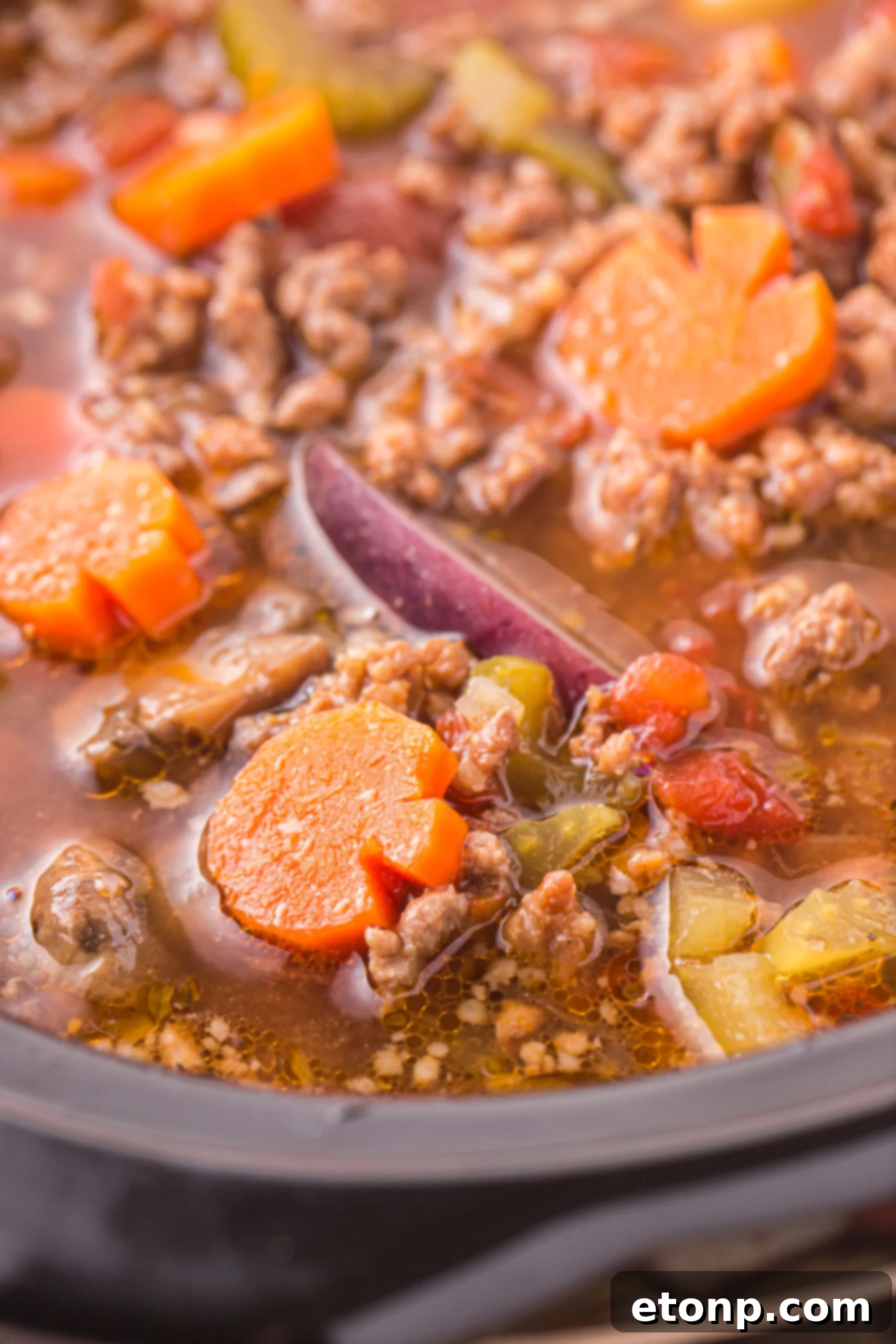 Close up view of Witches Brew Stew in a slow cooker.