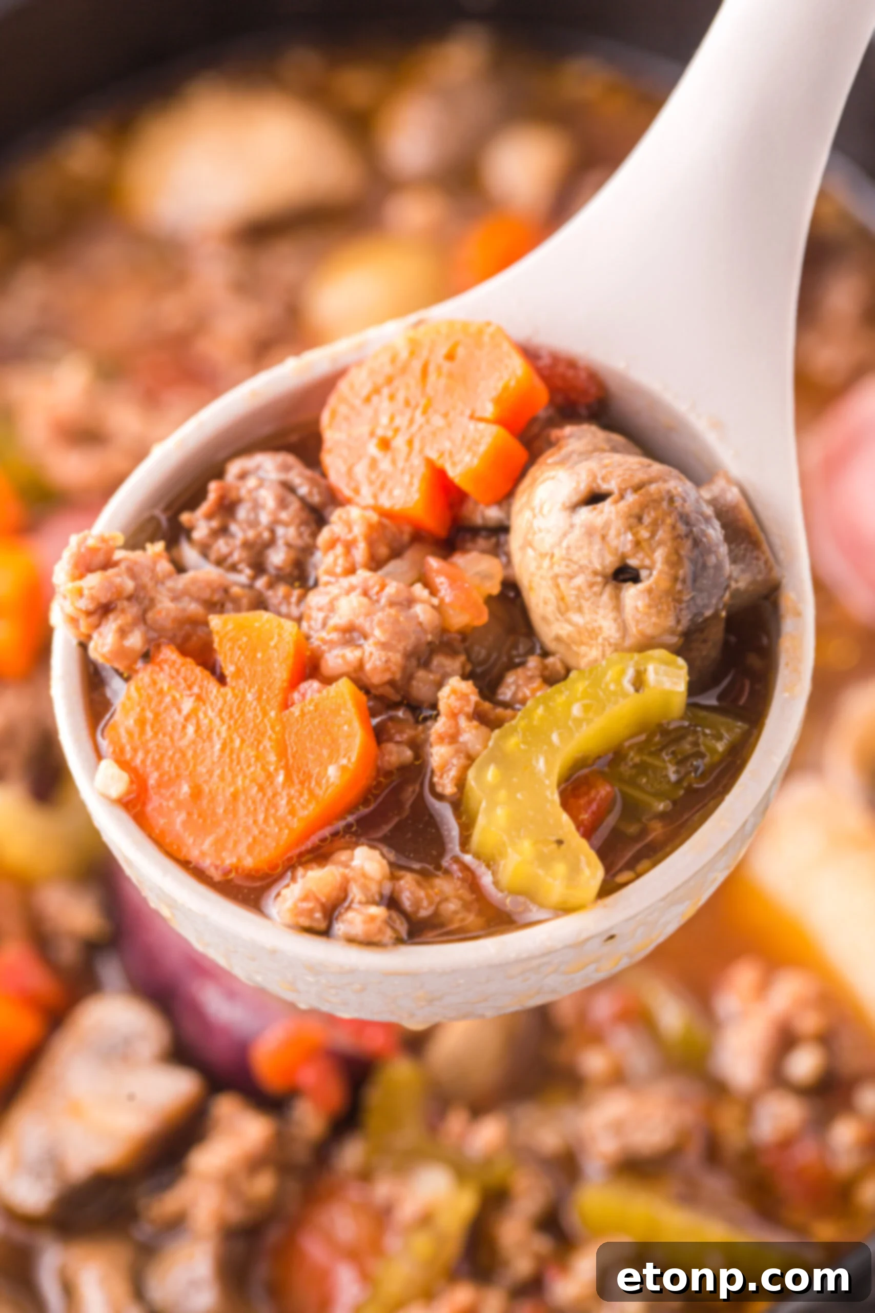 Close up view of a serving spoon removing a serving of Witches Brew Stew.