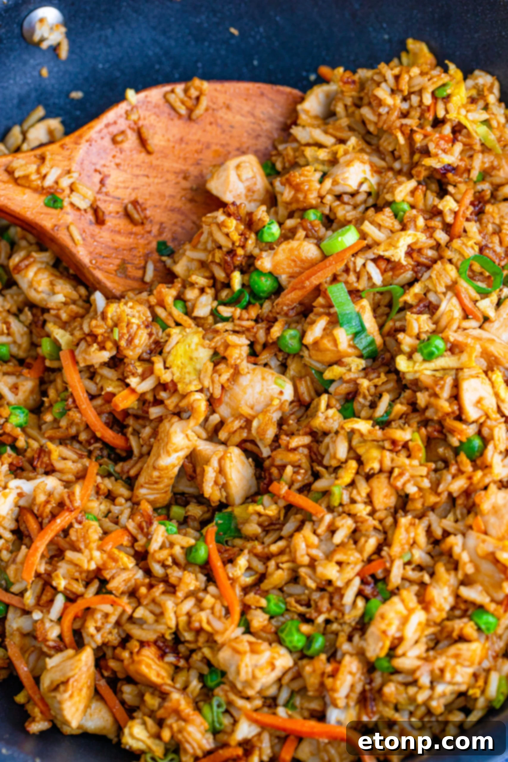 Close-up of freshly made homemade chicken fried rice, garnished with green onions.