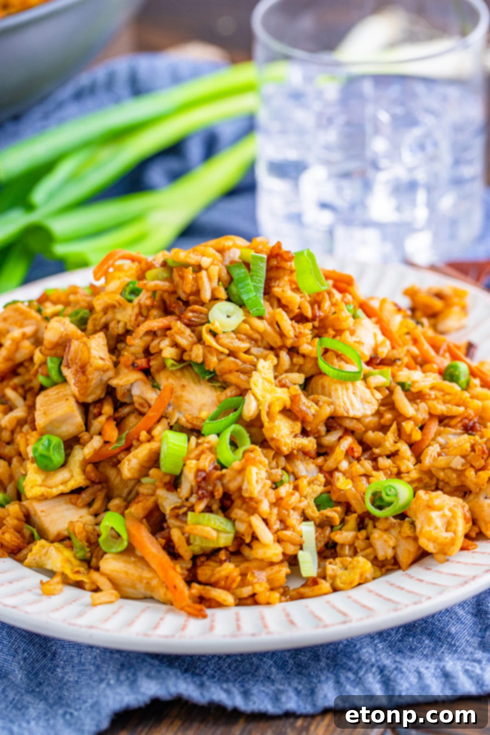 A beautifully composed shot of chicken fried rice on a white plate, highlighting the steam rising from it.