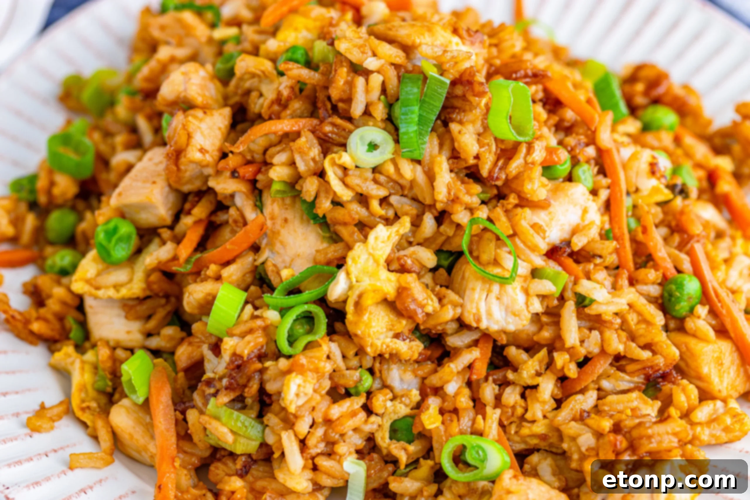 A generous serving of chicken fried rice in a white bowl, topped with chopped green onions.
