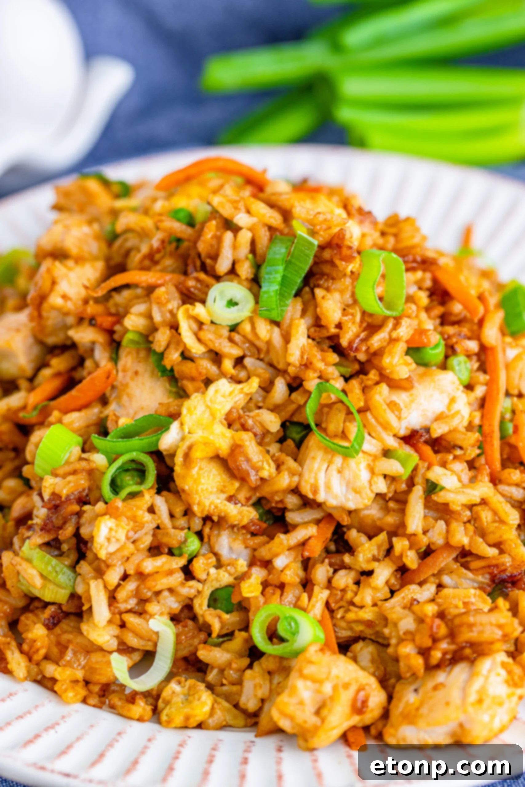 A beautifully plated serving of chicken fried rice on a white ceramic plate, ready to be enjoyed.