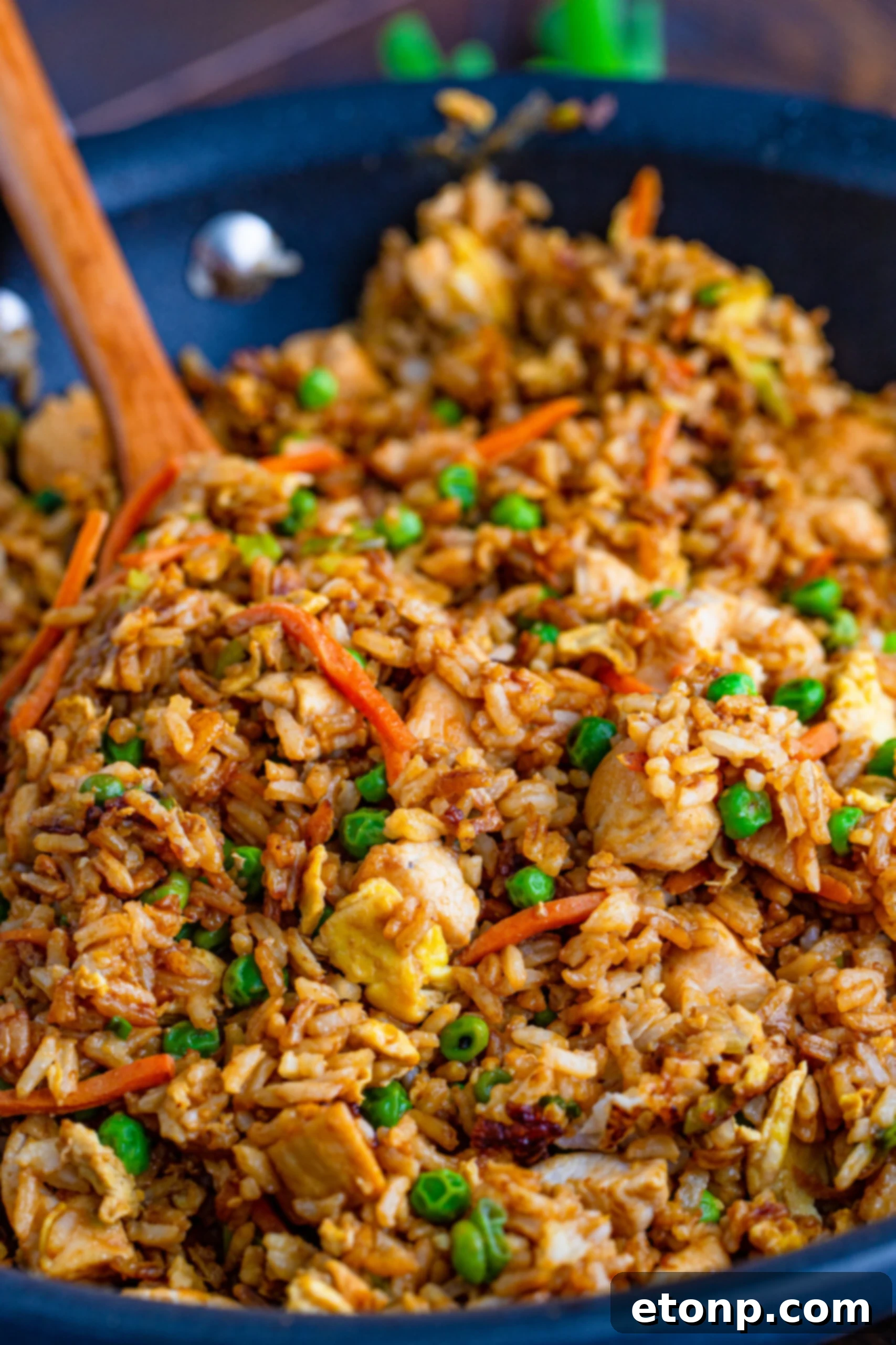 A single serving of chicken fried rice beautifully presented on a white plate, garnished with fresh greens.