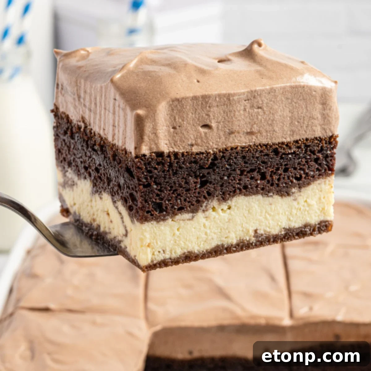 Dolce Vita Cake 2 layered Italian love cake on a spatula, showcasing its distinct layers of chocolate cake, creamy ricotta, and smooth pudding frosting