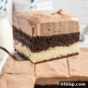 Dolce Vita Cake 18 layered Italian love cake on a spatula