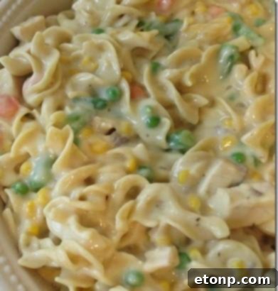 Creamy Chicken Noodle Casserole with a golden topping, the ultimate comfort food for families.