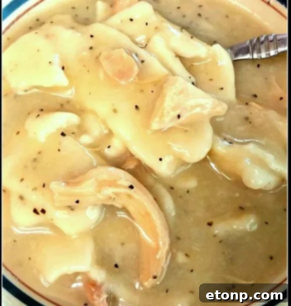 Classic Southern-Style Chicken and Dumplings, a warm and hearty stew with fluffy dumplings.
