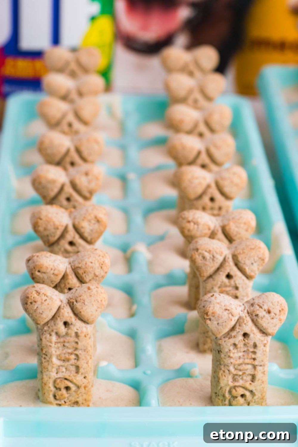 ice cream dog treats in a popsicle mold on table