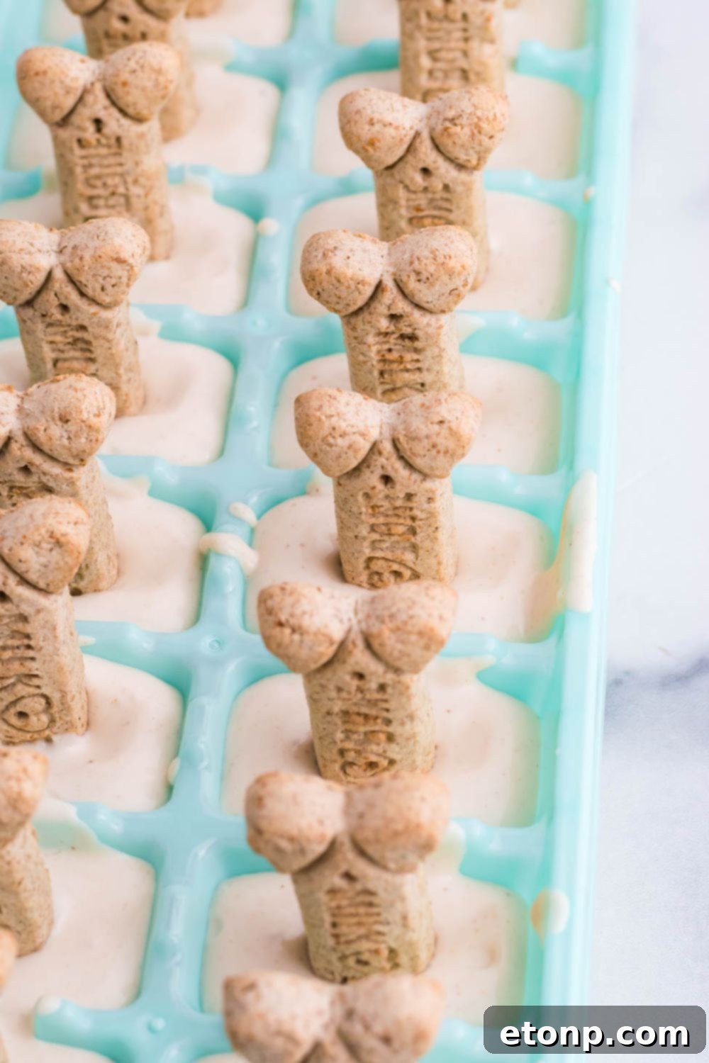 side view of ice cream for dogs in mold with dog biscuits on top 