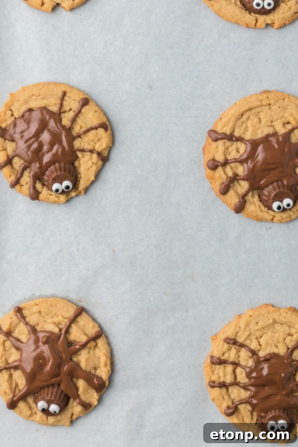 Frightfully Delicious Peanut Butter Spider Cookies 13 spider cookies on a parchment lined tray on table