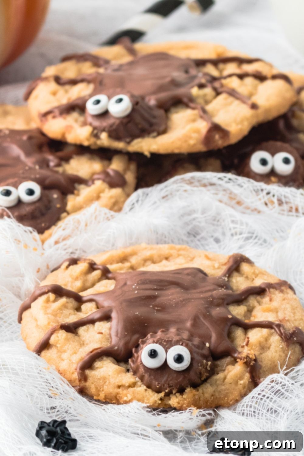 Frightfully Delicious Peanut Butter Spider Cookies 17 spider cookie on a web style towel