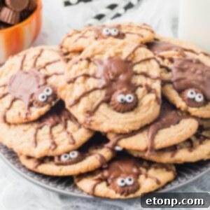 Frightfully Delicious Peanut Butter Spider Cookies 20 Peanut Butter Spider Cookies on a plate stacked up