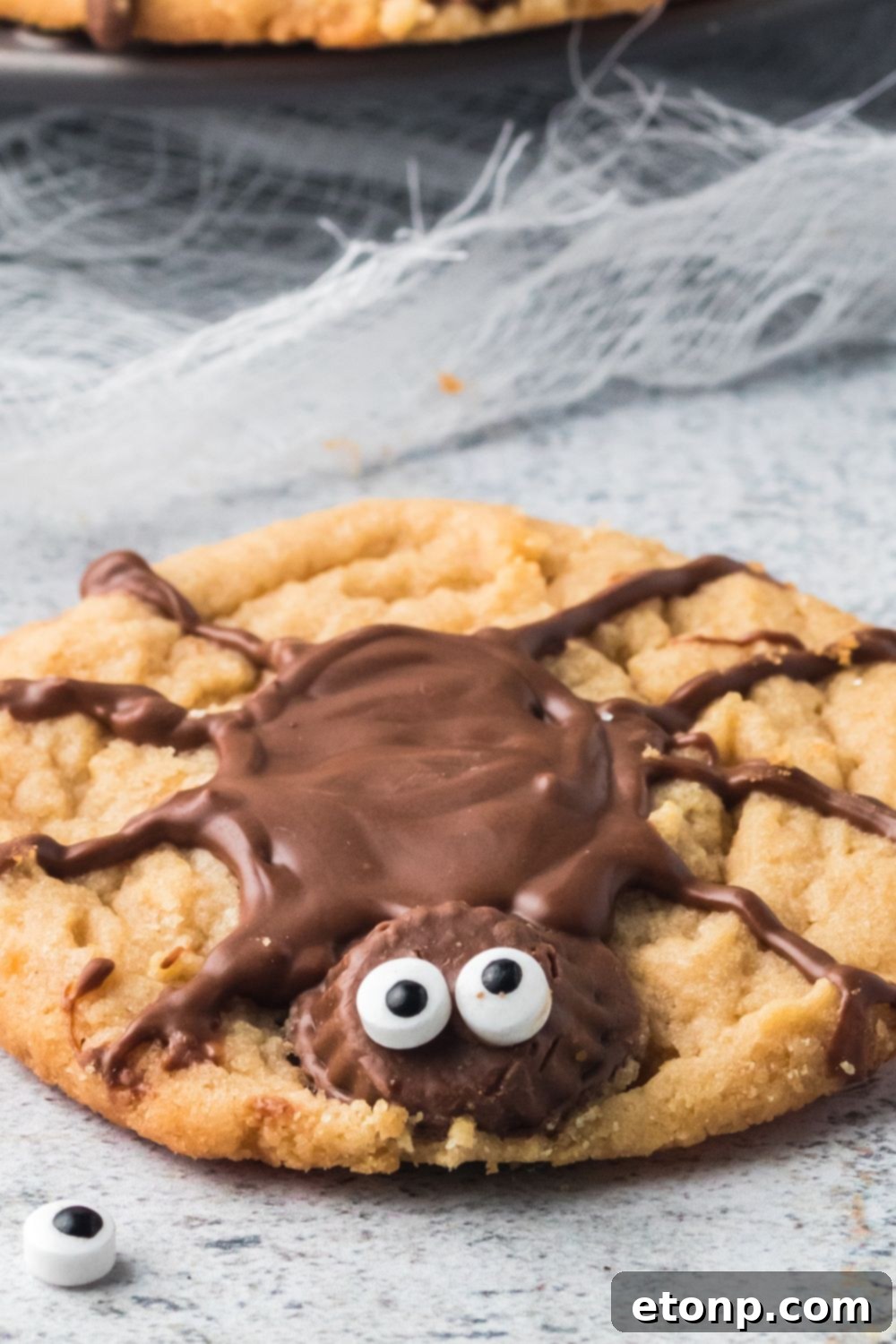 Frightfully Delicious Peanut Butter Spider Cookies 4 spider cookie sitting on concrete counter