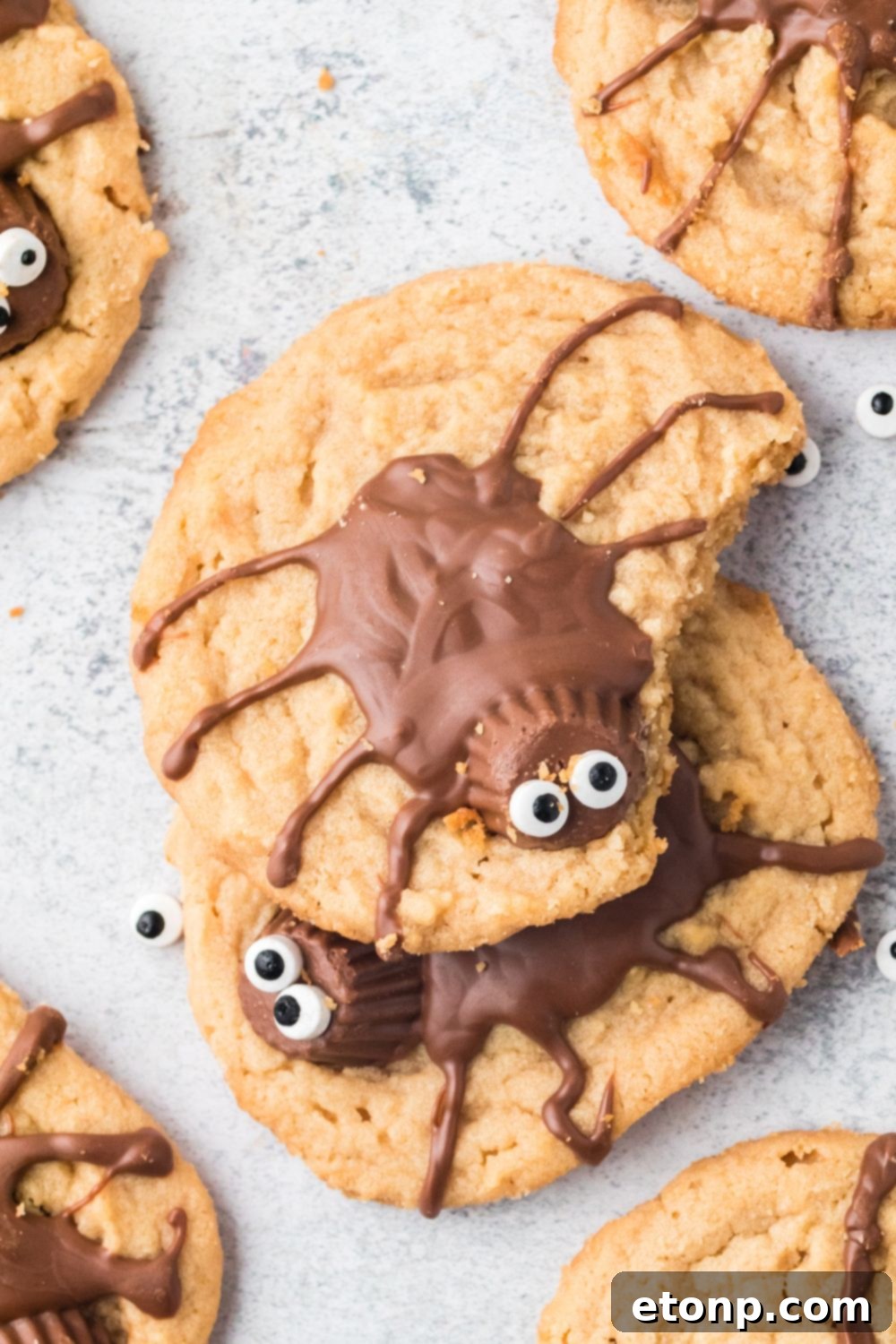 Frightfully Delicious Peanut Butter Spider Cookies 7 overhead shot of spider cookies on table with one that has a bite taken out