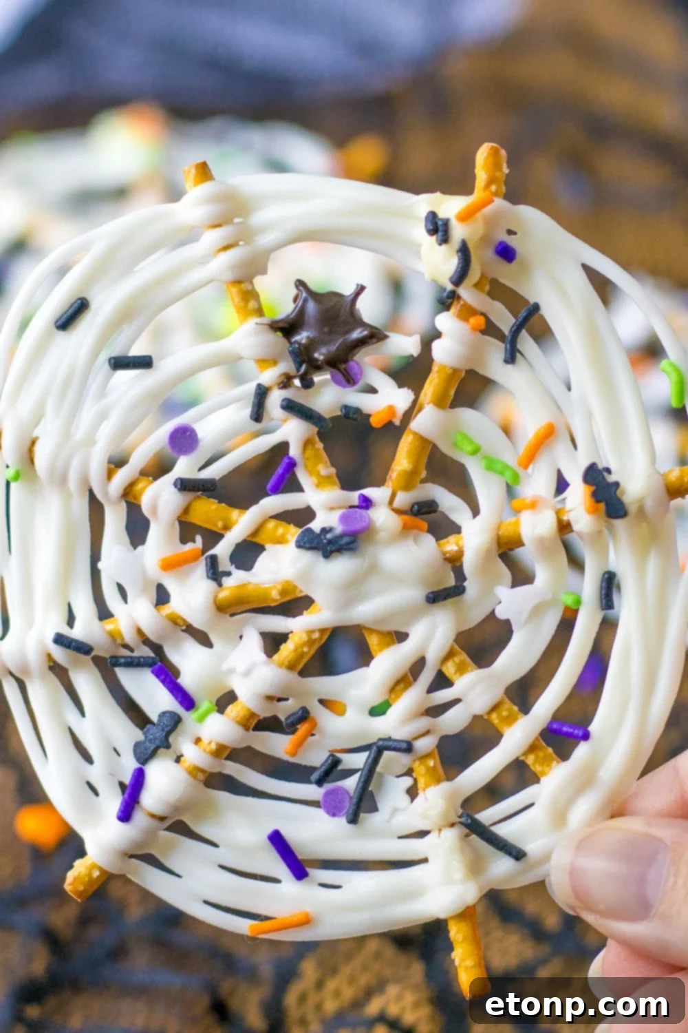 Close up of a white chocolate spider web made out of pretzels