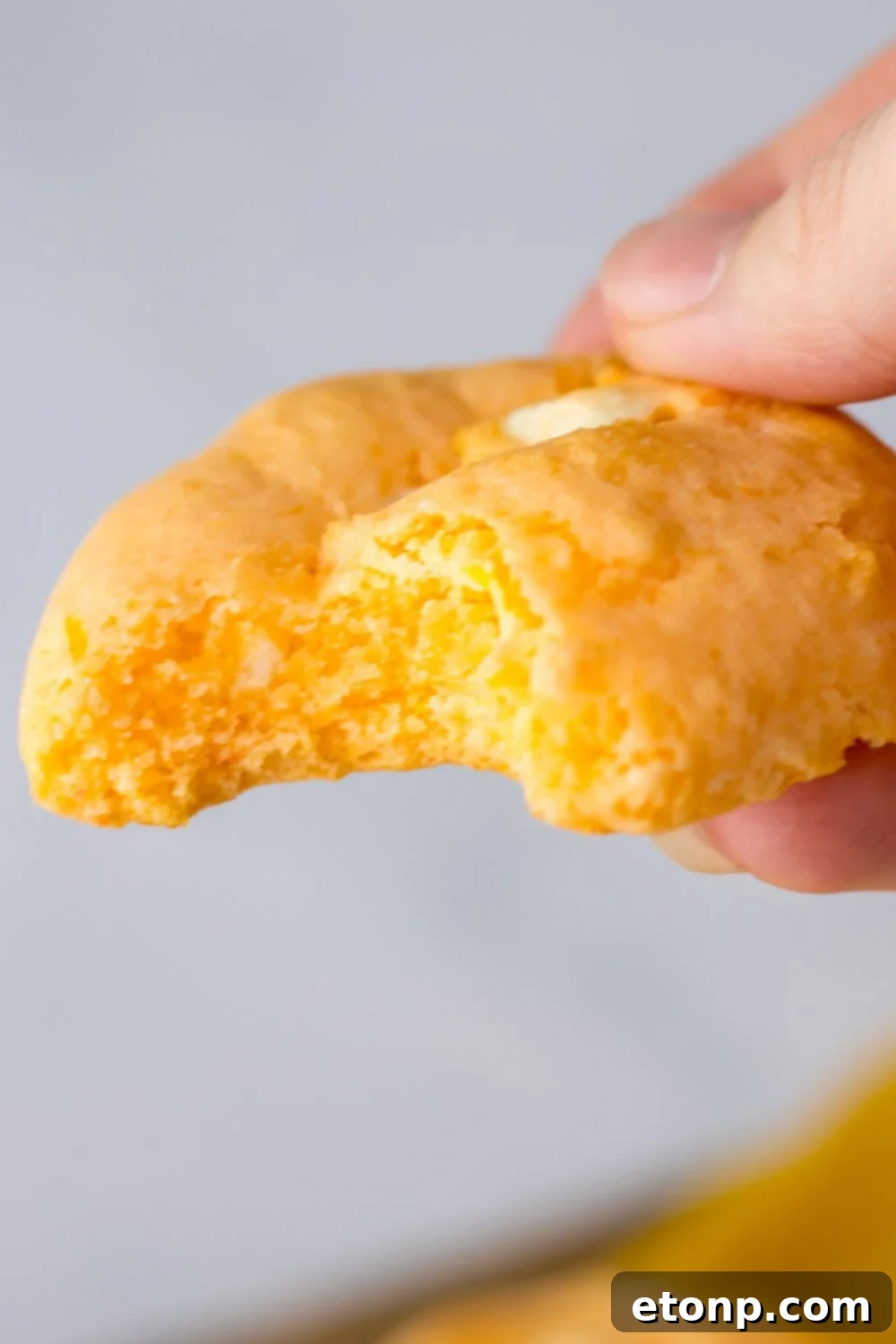 cookie with a bite taken out being held in hand