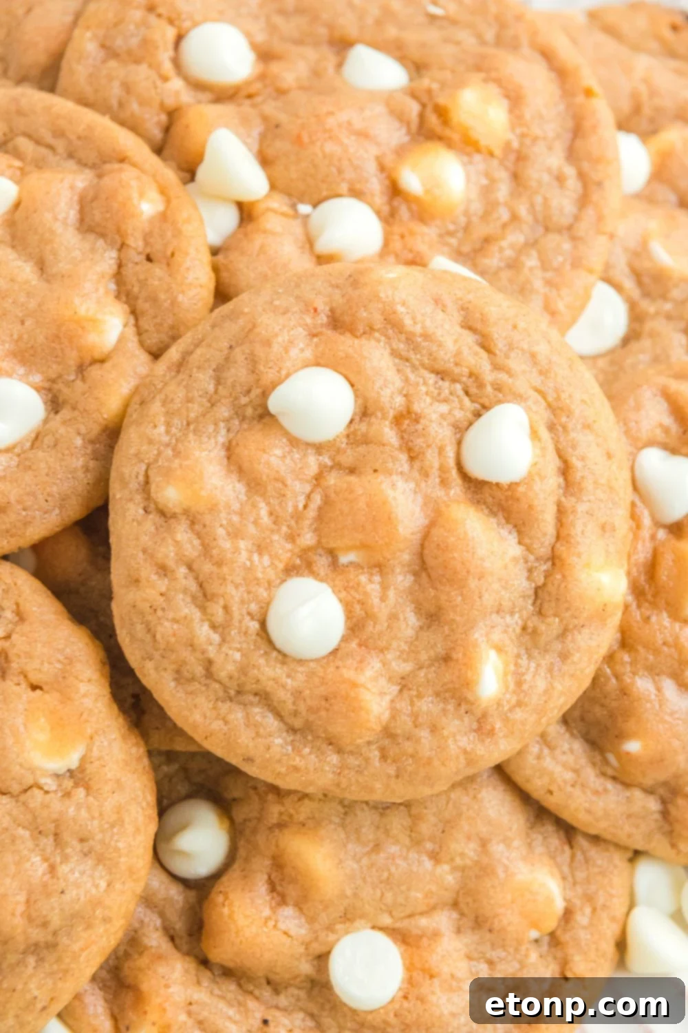 pumpkin spice cookies stacked on top of each other on a plate