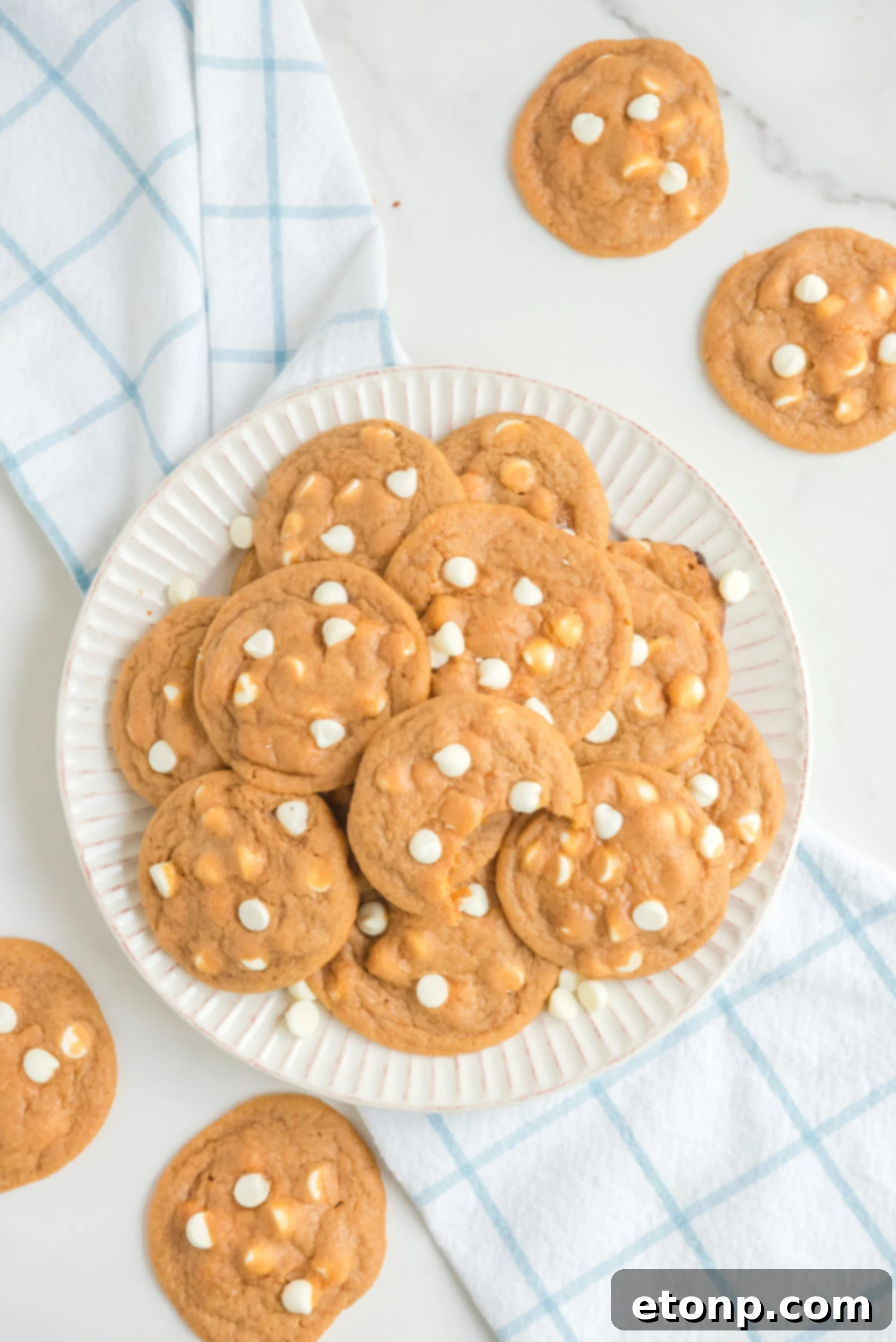 overhead shot of a pile of Pumpkin Spice Pudding Cookies on a white plate