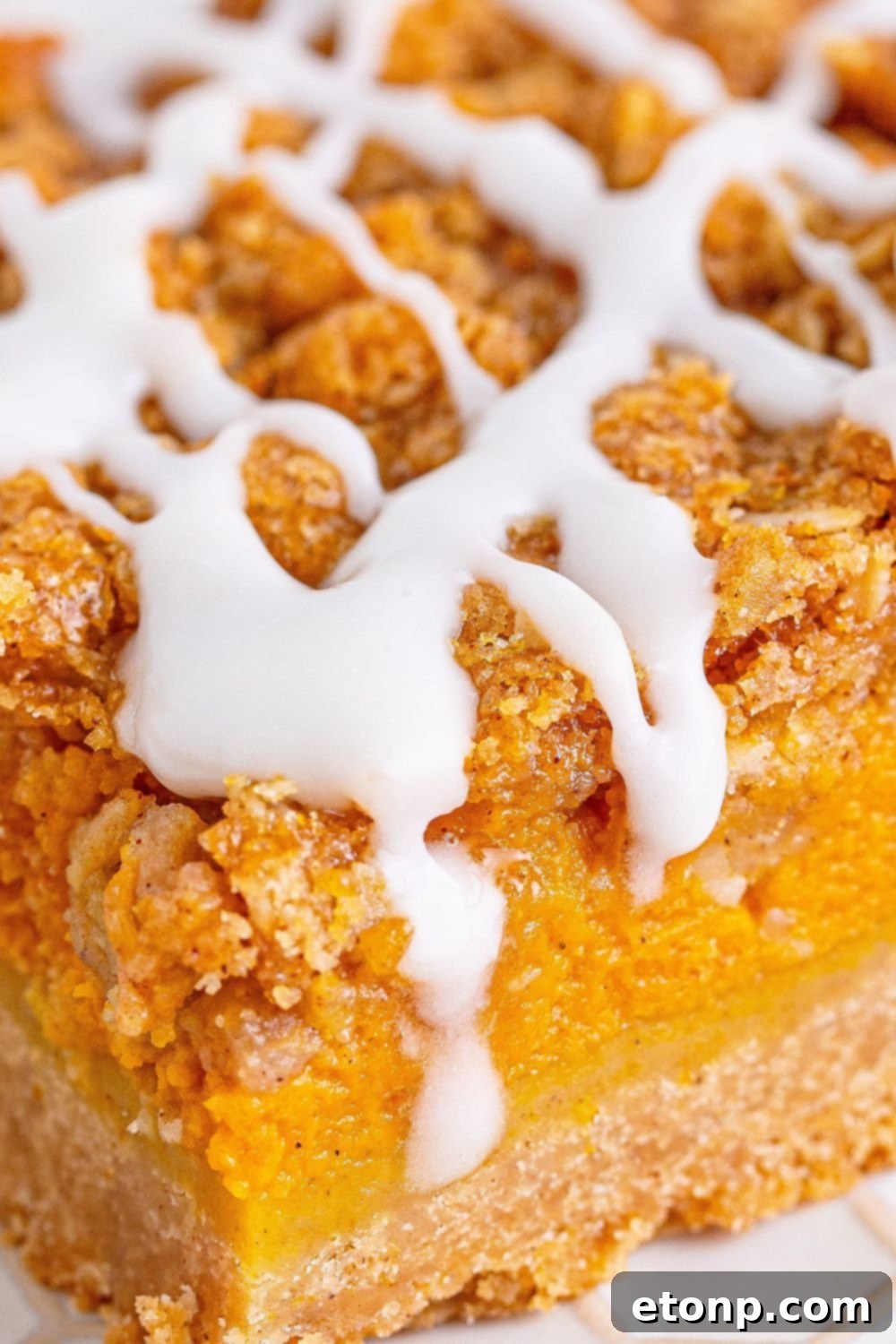 Sweet Autumn Pumpkin Crumble Bars 20 Pumpkin crumble bar close up