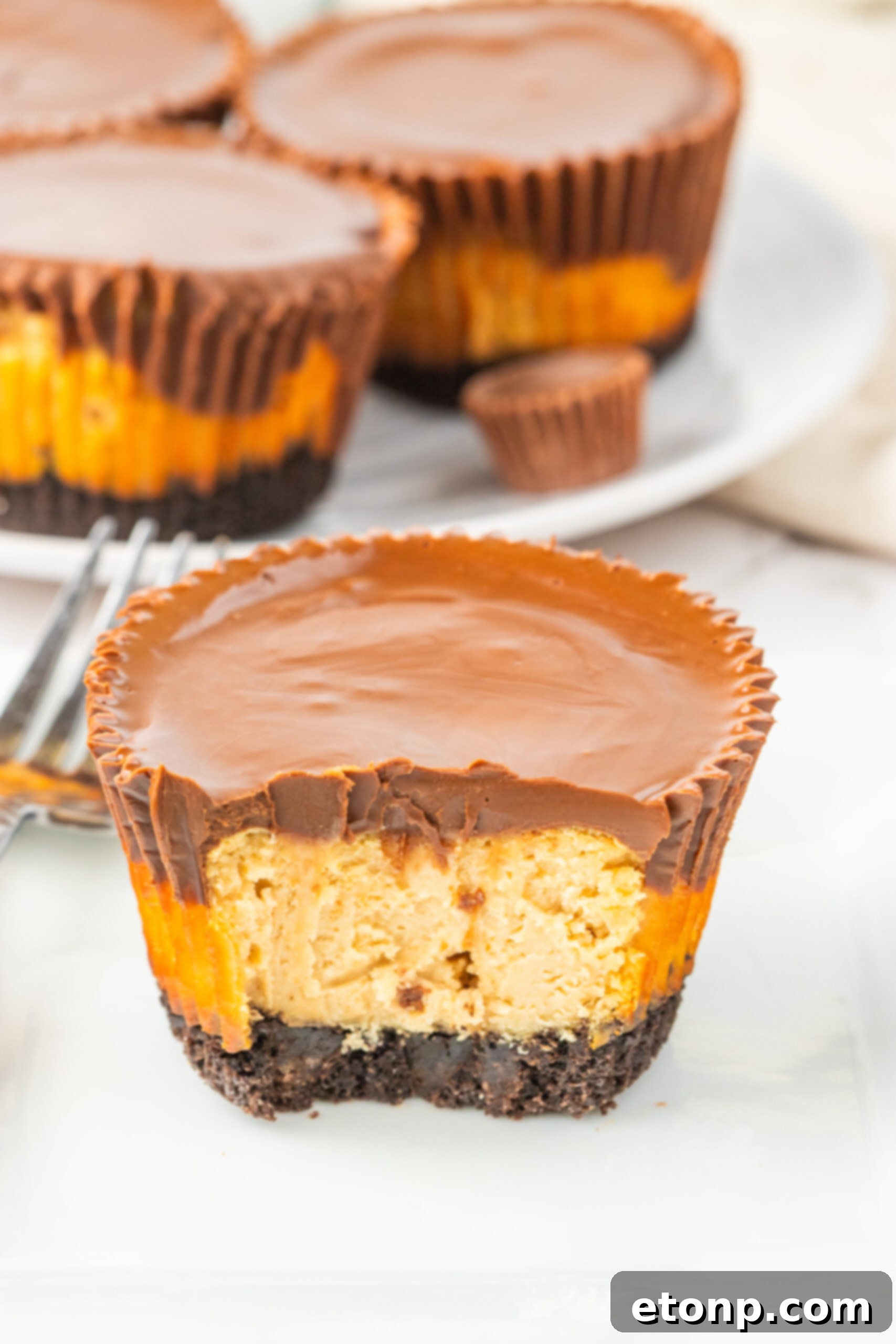 Bite-Sized Peanut Butter Cheesecakes 2 Peanut Butter Cheesecake Bite cut in half and sitting on table, showing layers